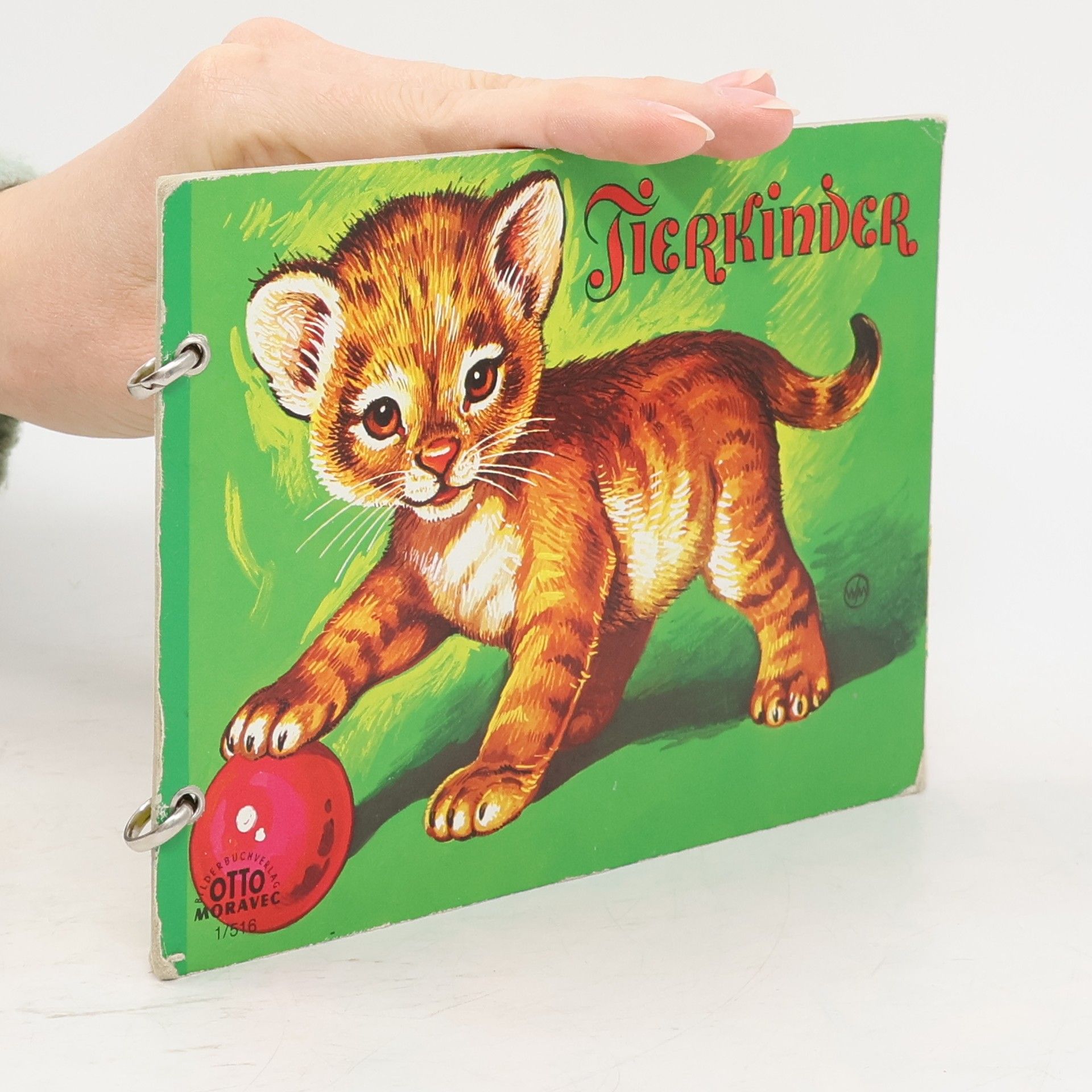 Autorenkollektiv Tierkinder