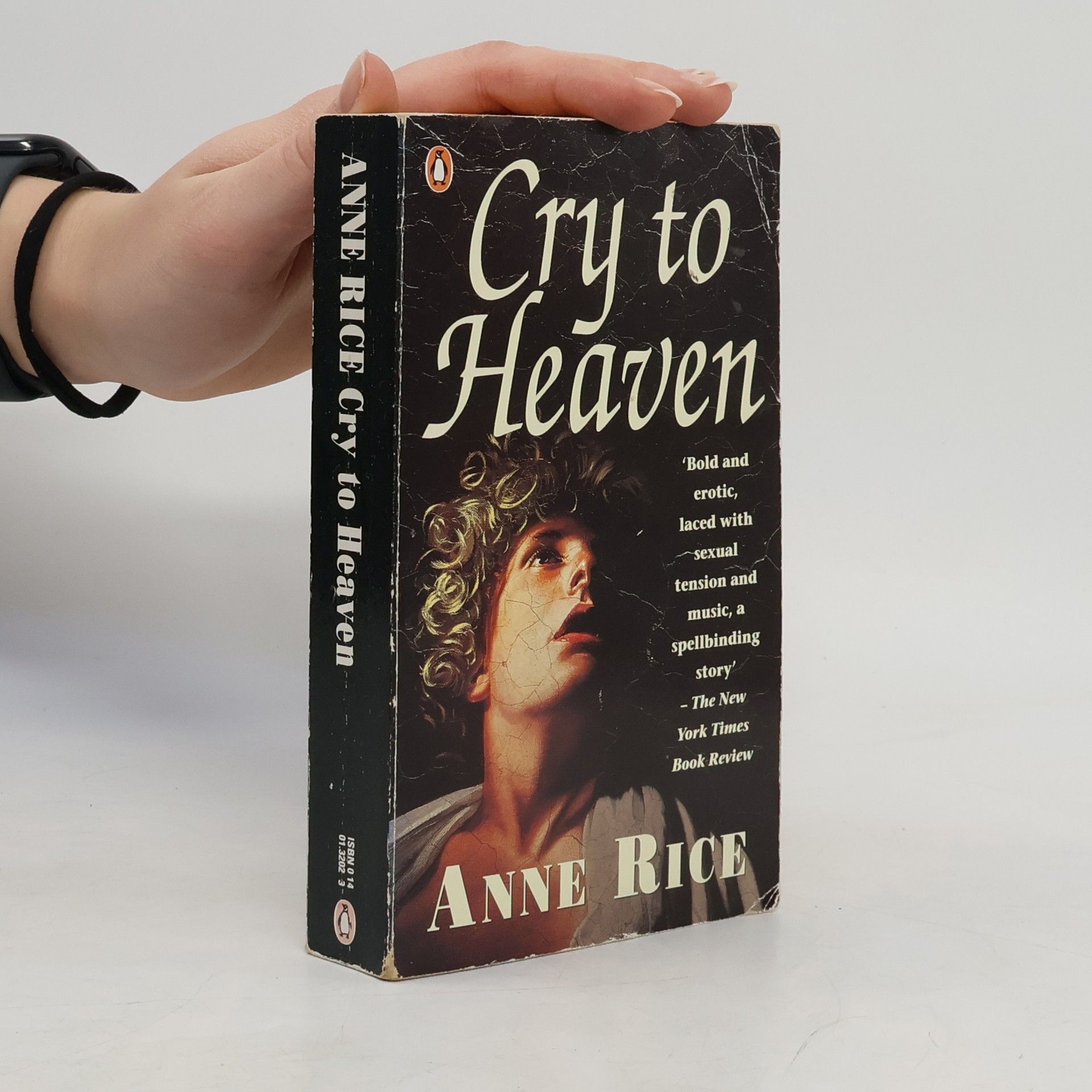 Anne Rice Cry to Heaven