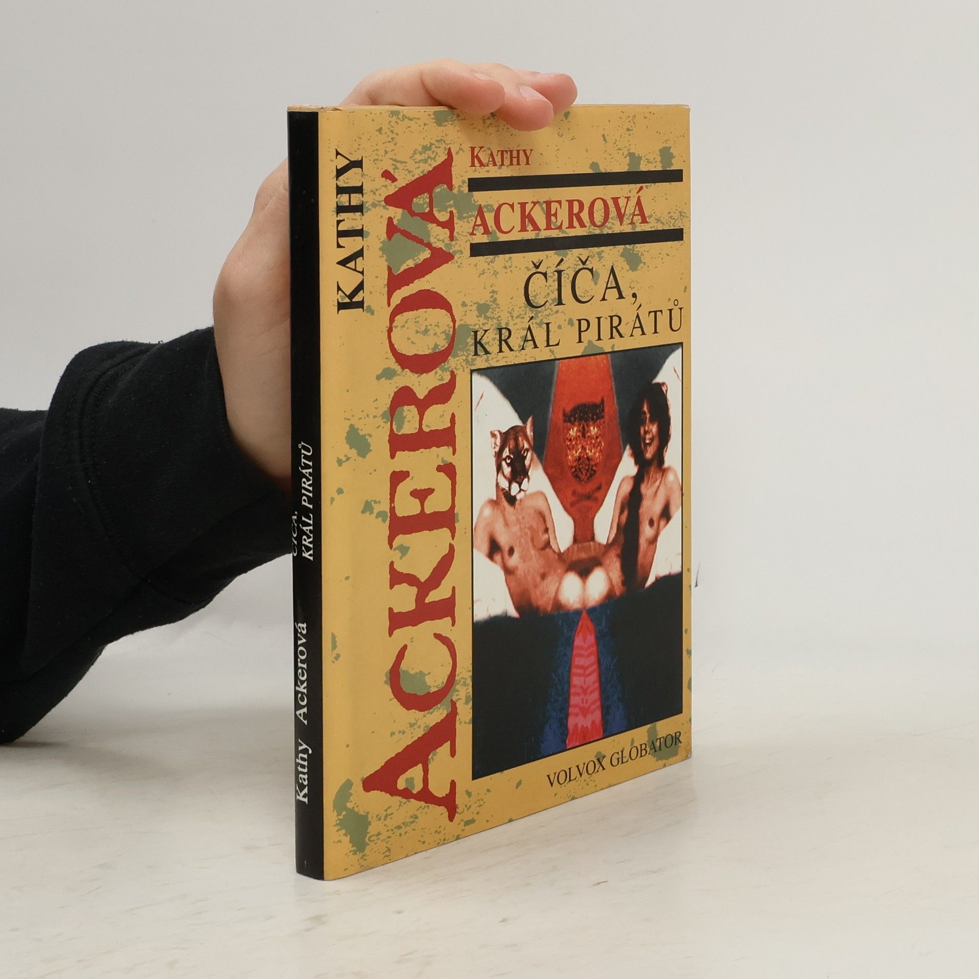 Číča, král pirátů