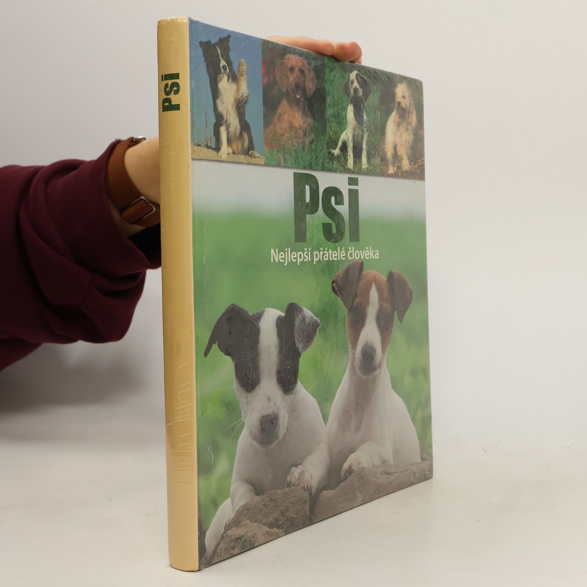 Autorenkollektiv Psi - Nejlepší přátelé člověka