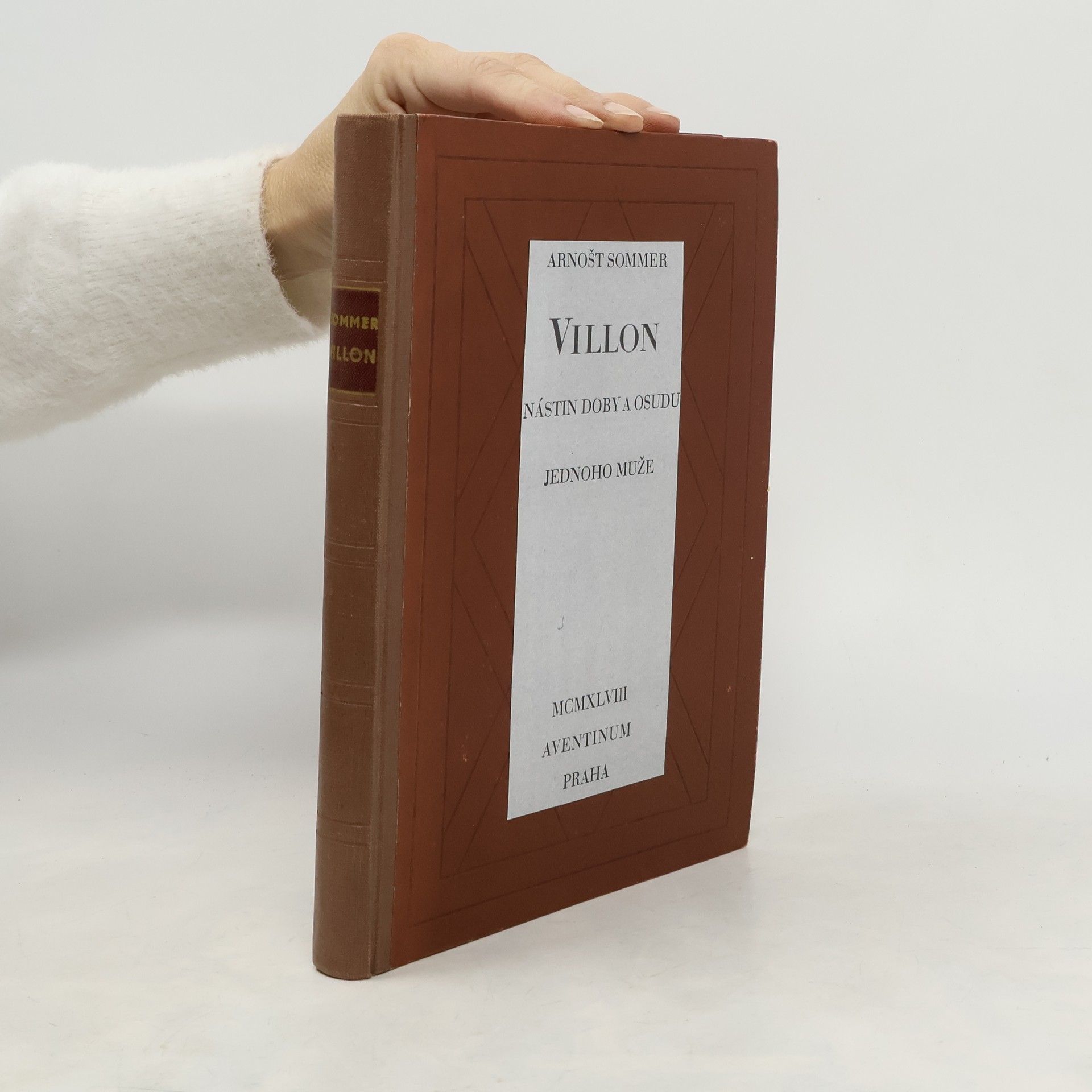 Villon. Nástin doby a osudu jednoho muže