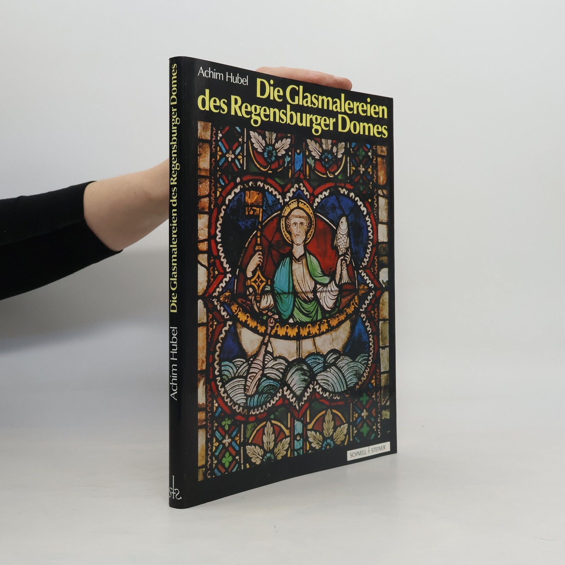 Achim Hubel Die Glasmalereien des Regensburger Domes