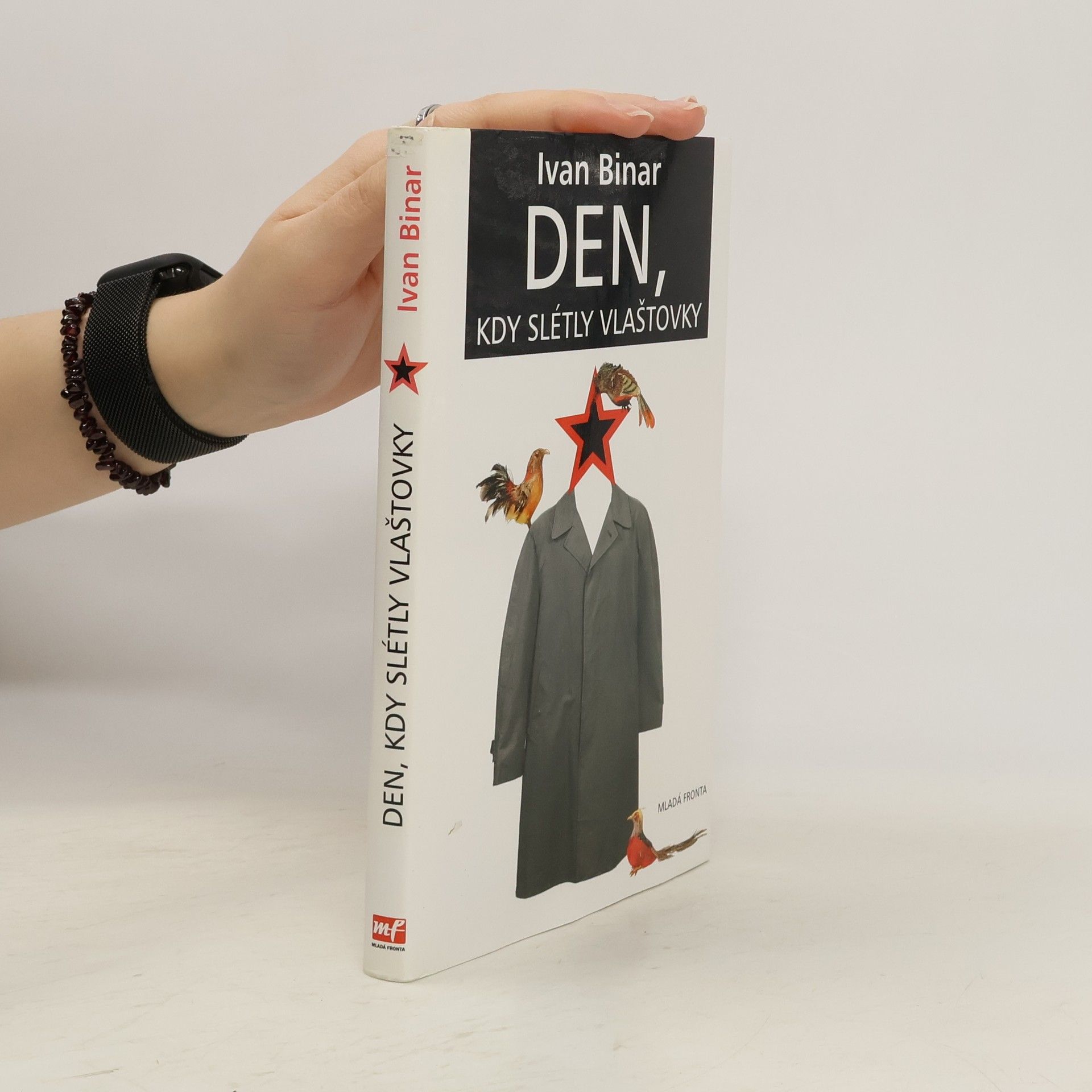 Ivan Binar Den, kdy slétly vlaštovky