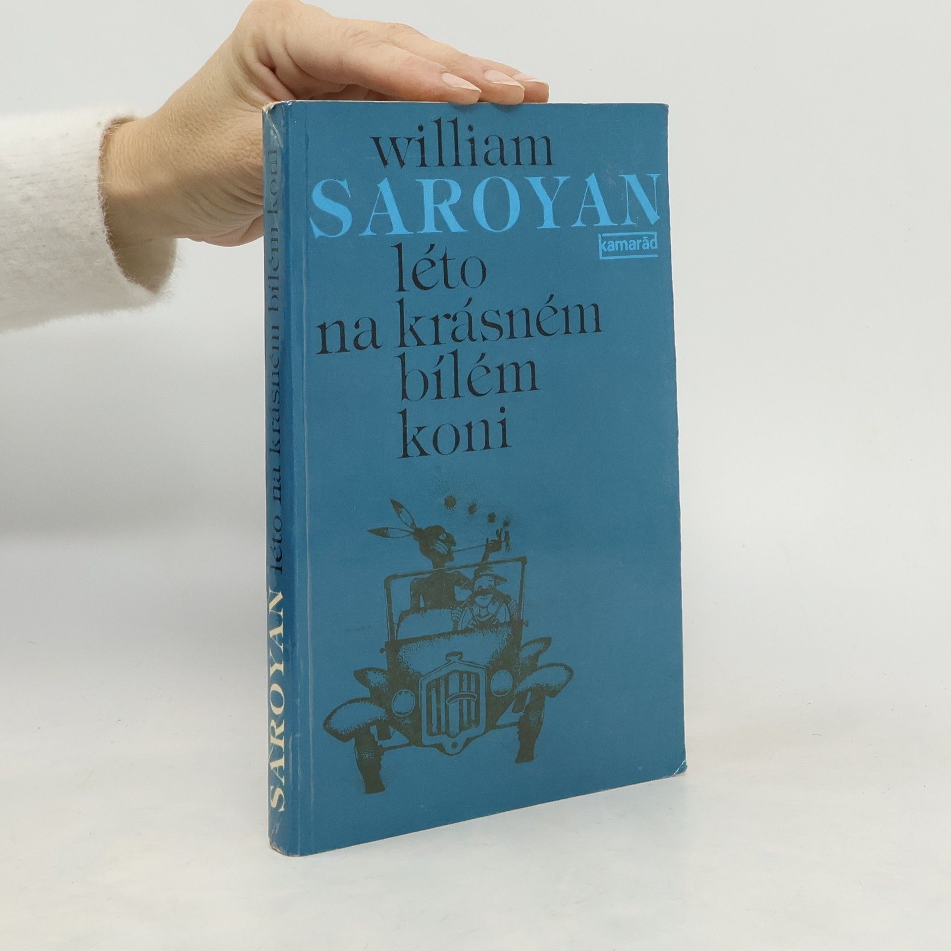 Léto na krásném bílém koni