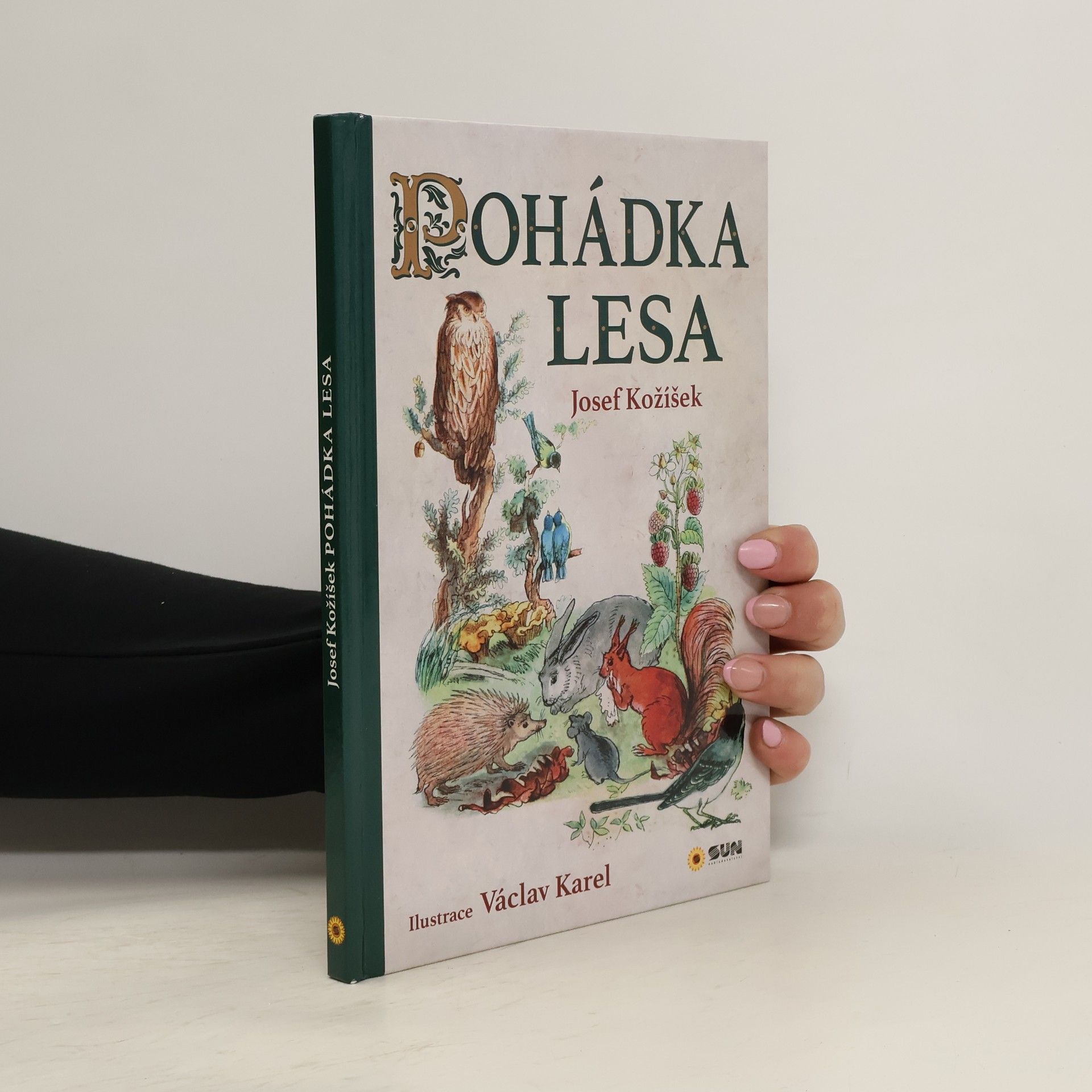 Autores varios Pohádka lesa