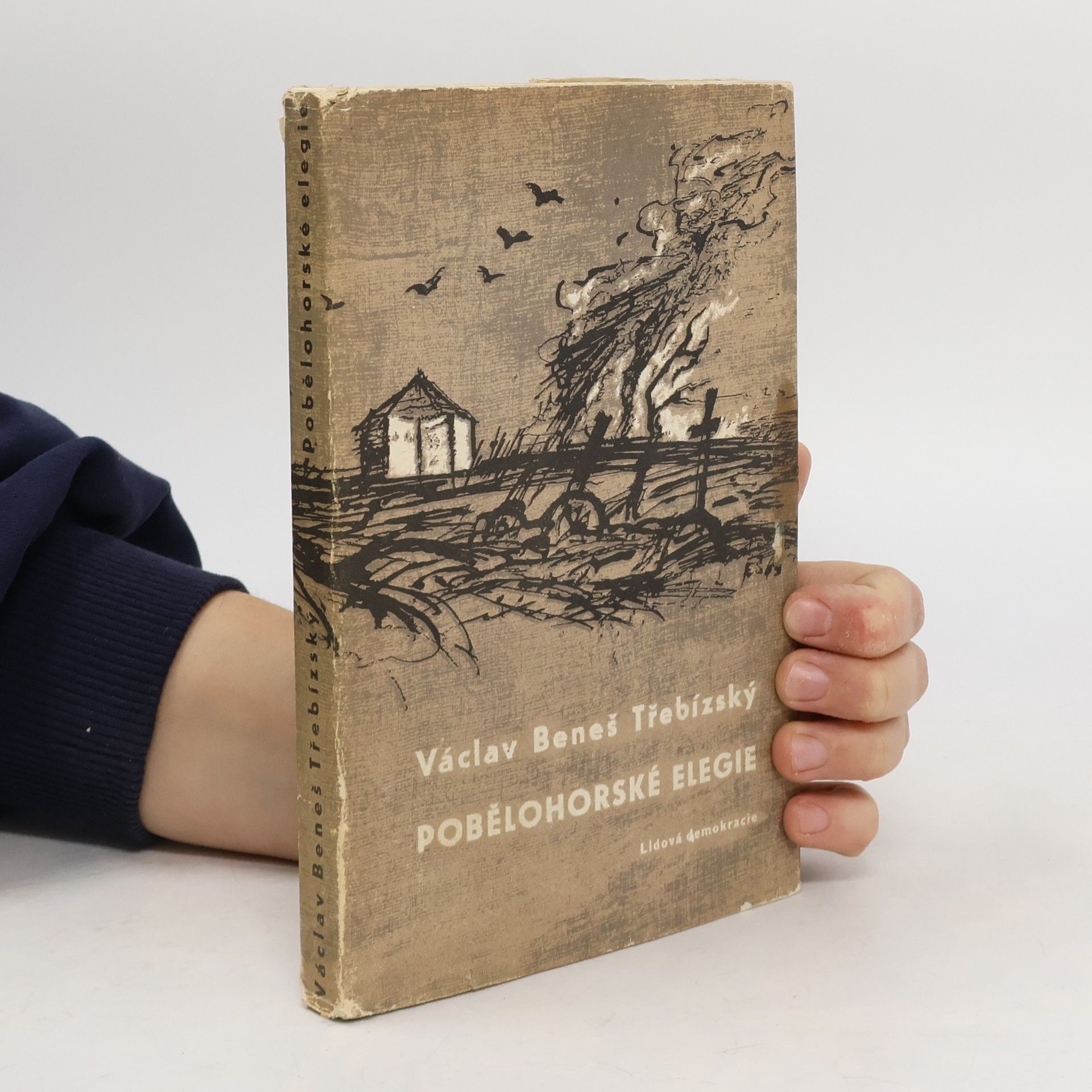 Václav Beneš Třebízský Pobělohorské elegie