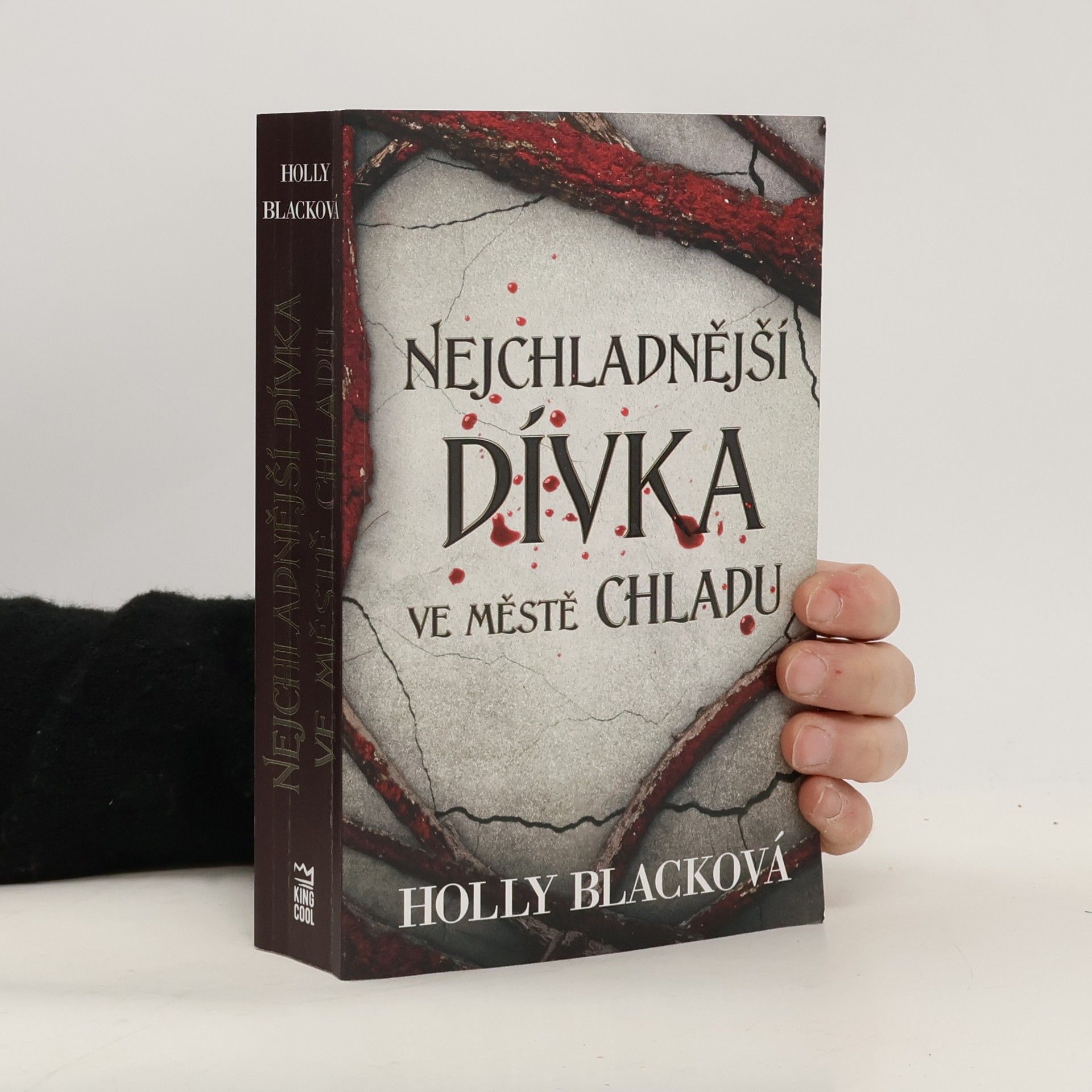 Holly Black Nejchladnější dívka ve městě chladu