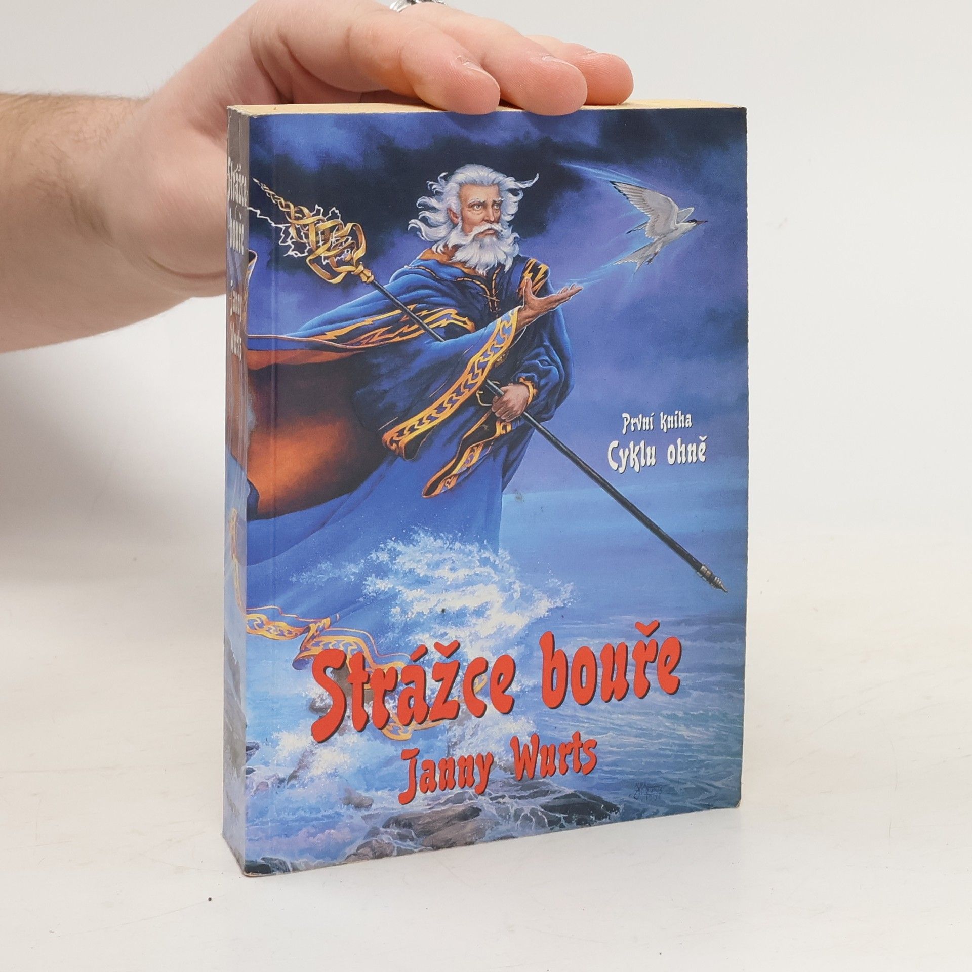 Janny Wurts Strážce bouře