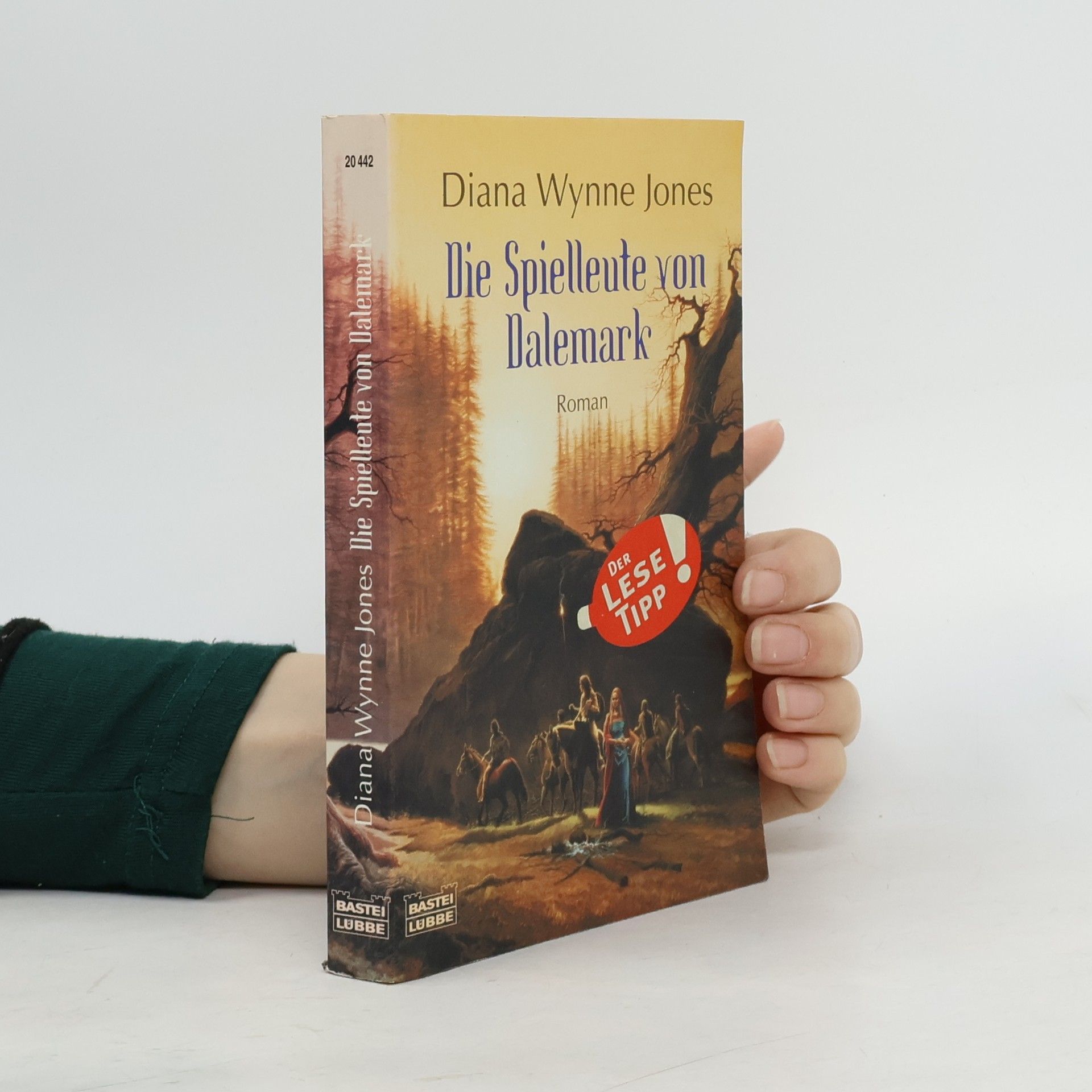 Diana Wynne Jones Die Spielleute von Dalemark