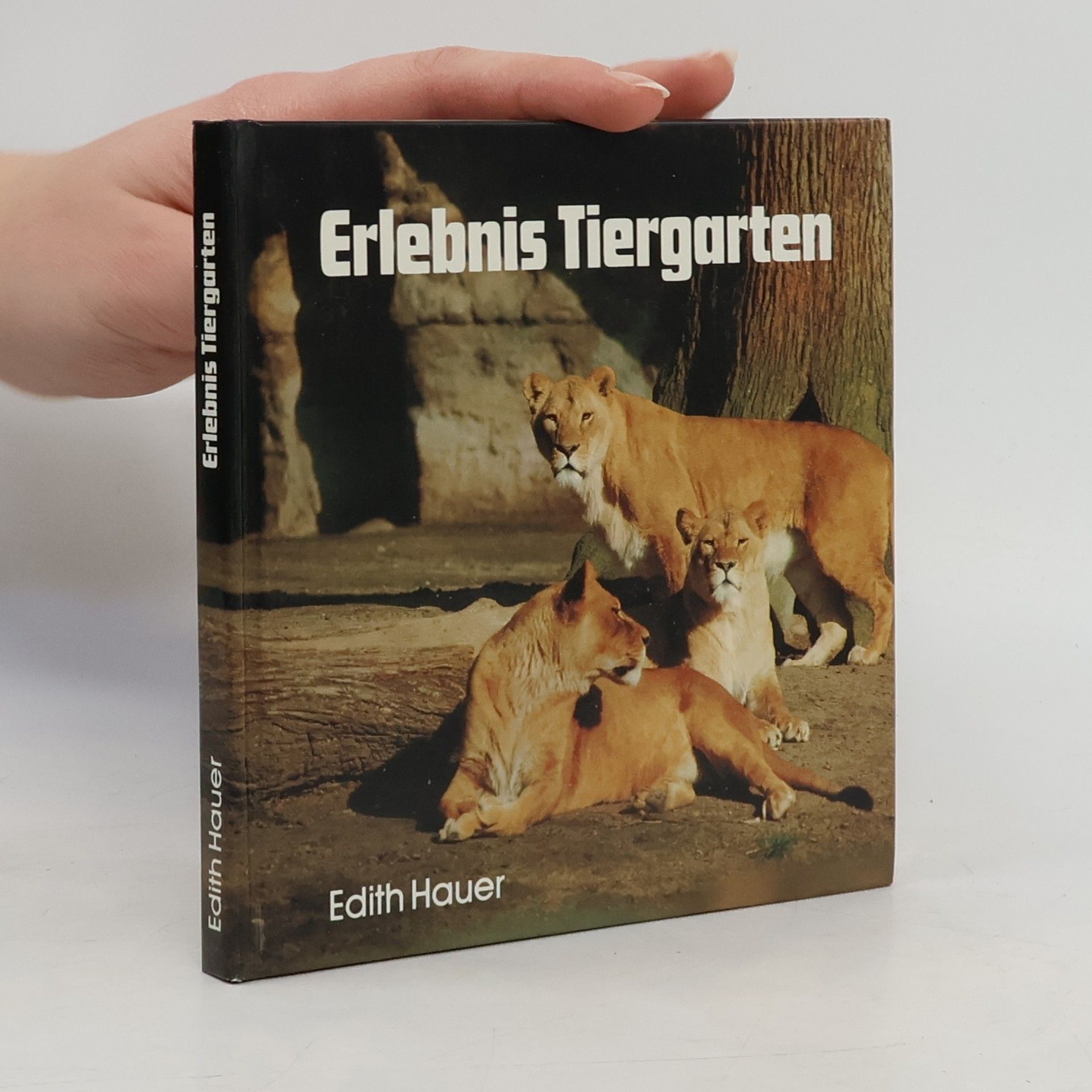 Erlebnis Tiergarten