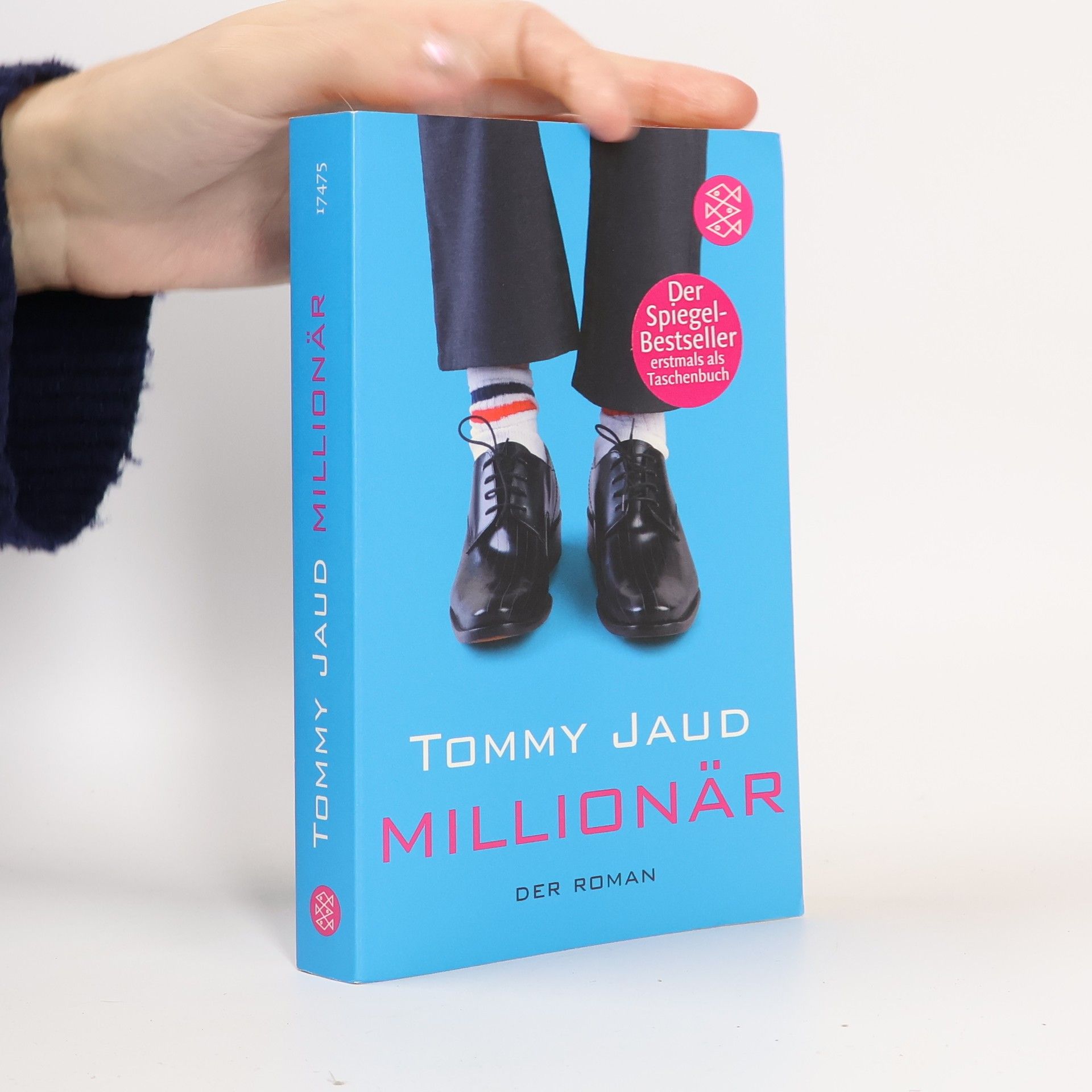 Tommy Jaud Millionär