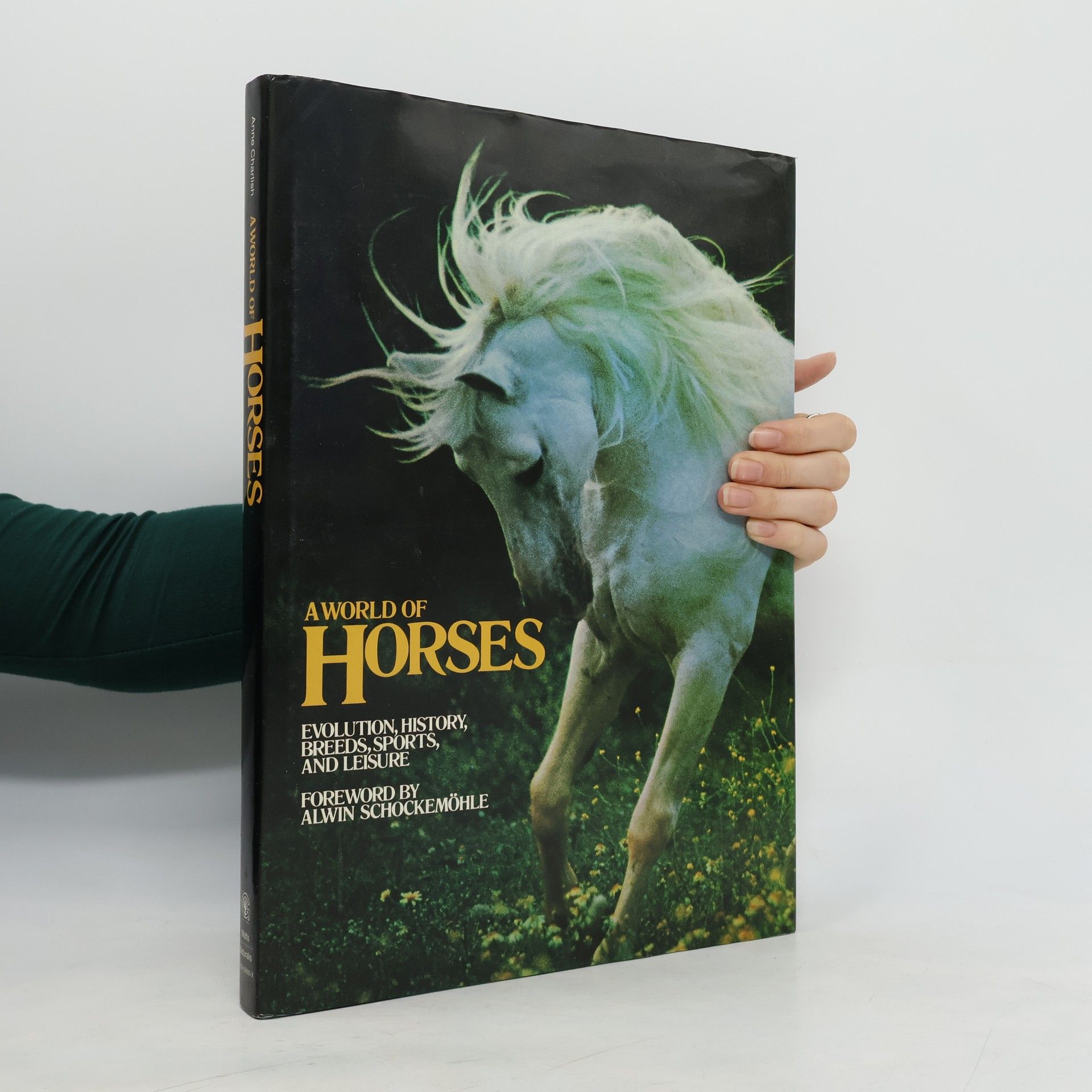 Anne Chisholm A World of Horses