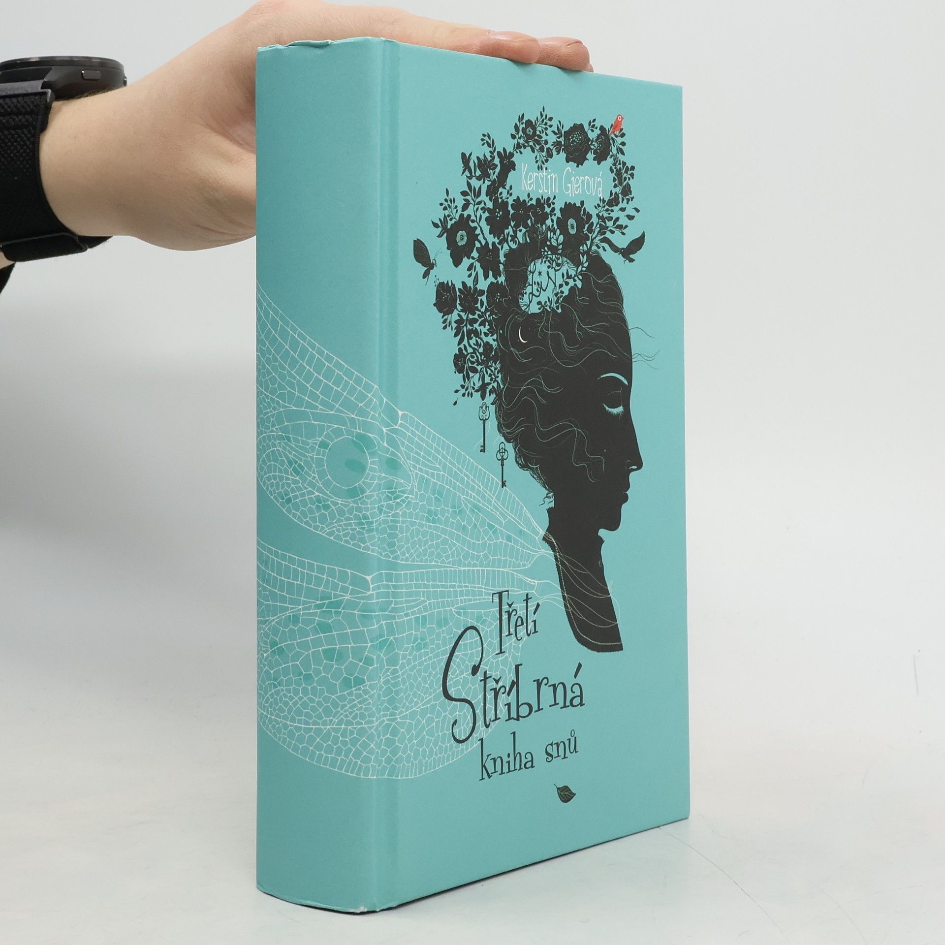 Kerstin Gier Třetí stříbrná kniha snů