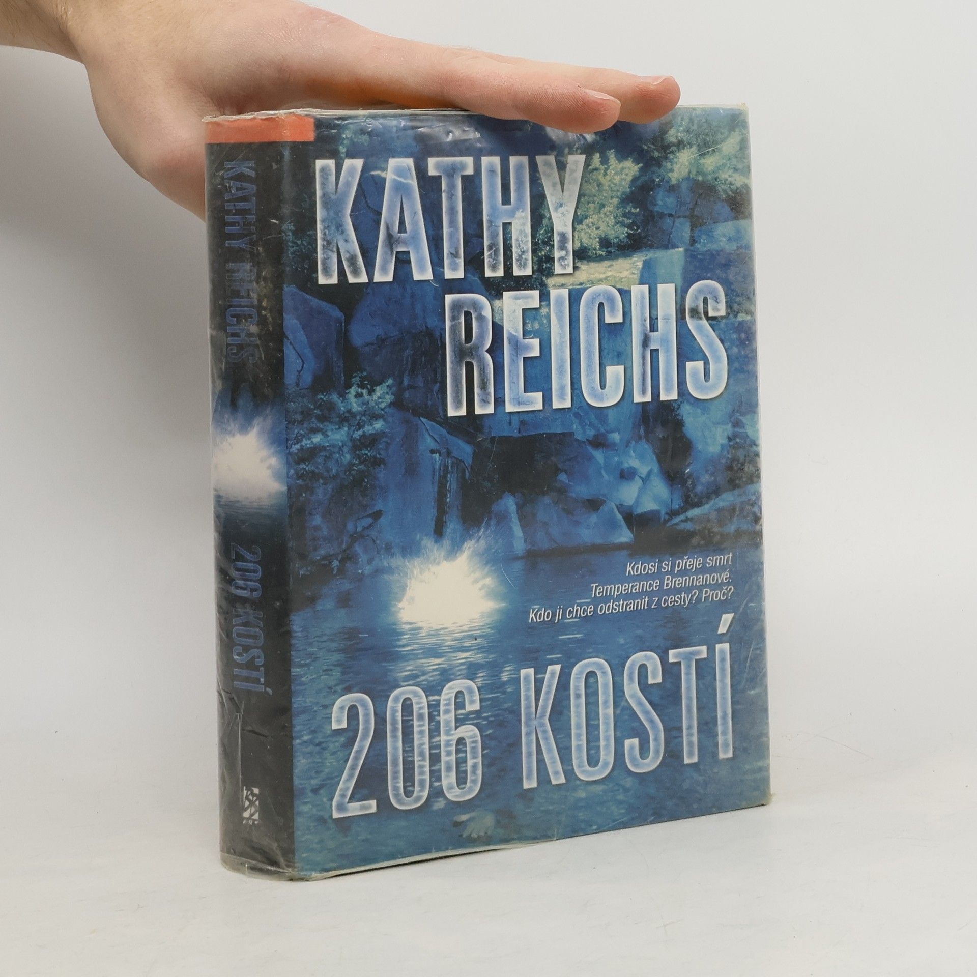 Kathy Reichs 206 kostí