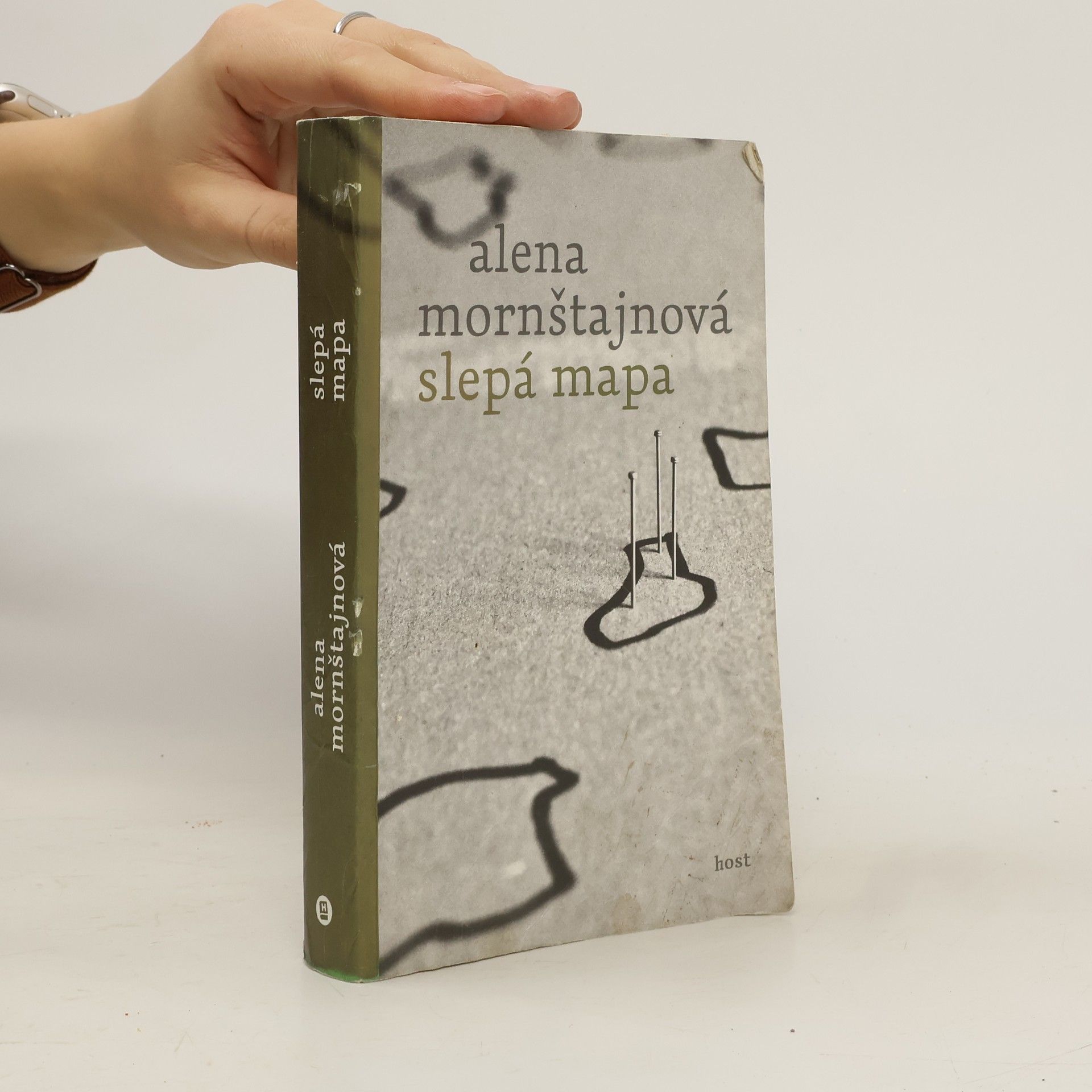 Alena Mornštajnová Slepá mapa