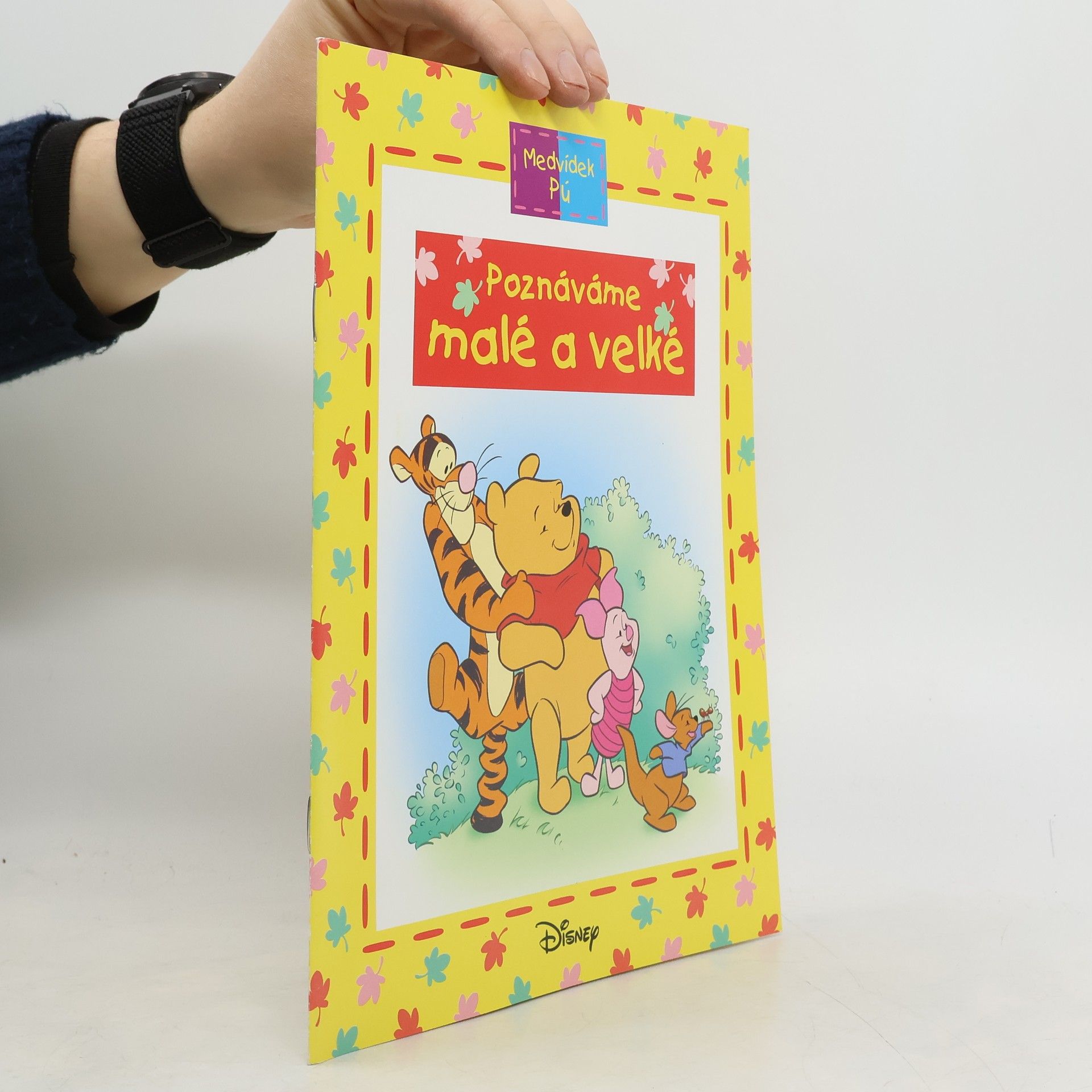 Walt Disney Medvídek Pú - Poznáváme malé a velké