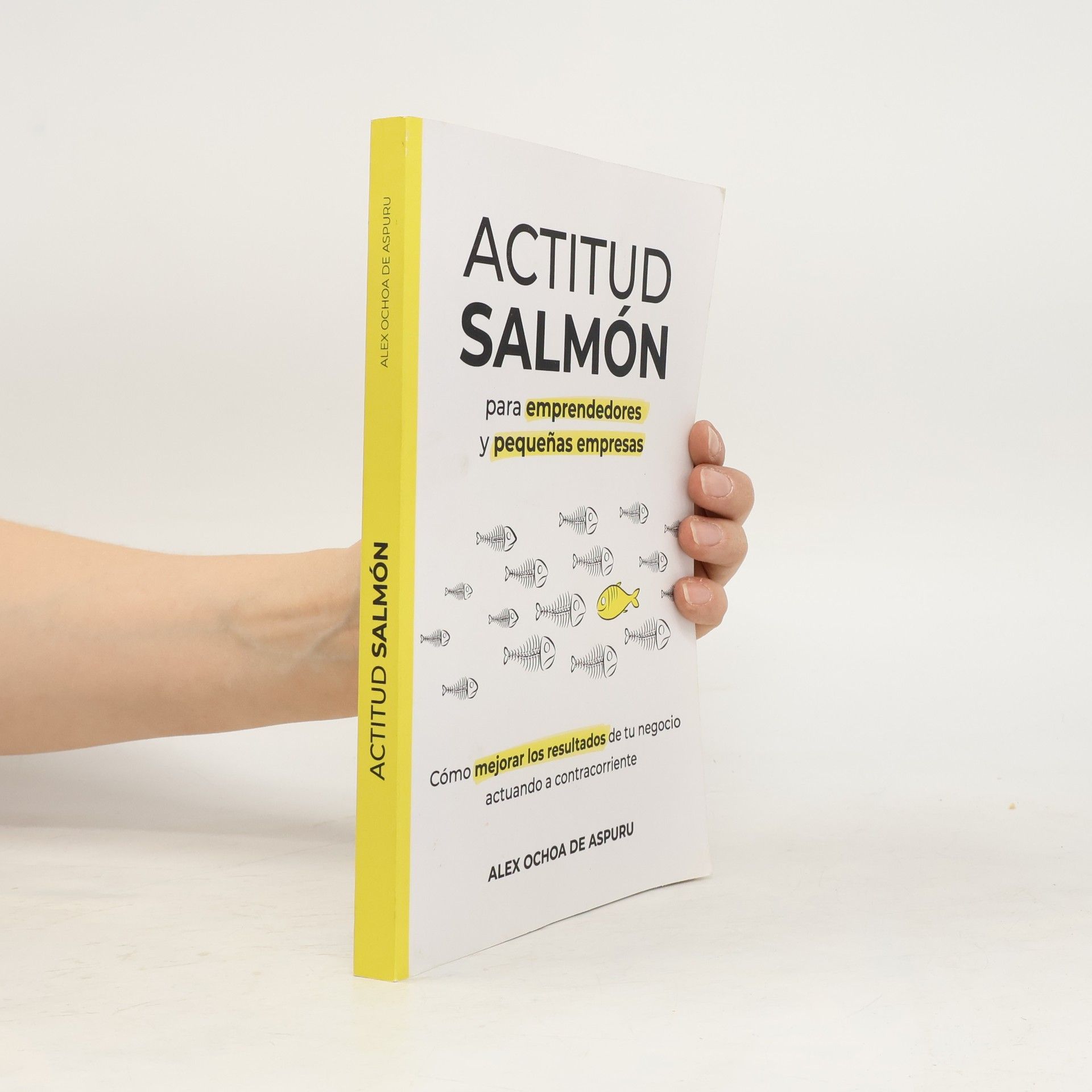 Alex Ochoa de Aspuru Actitud Salmón. Para emprendedores y pequeñas empresas