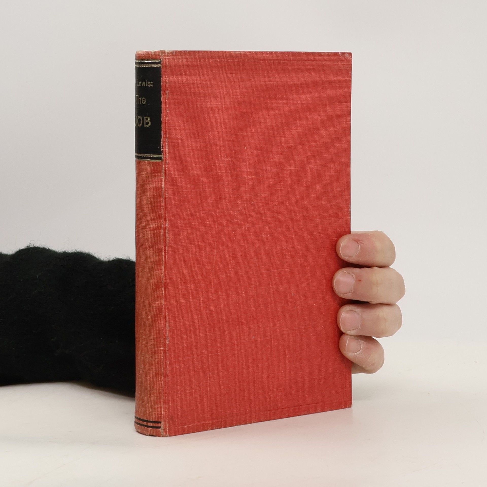 Sinclair Lewis The Job