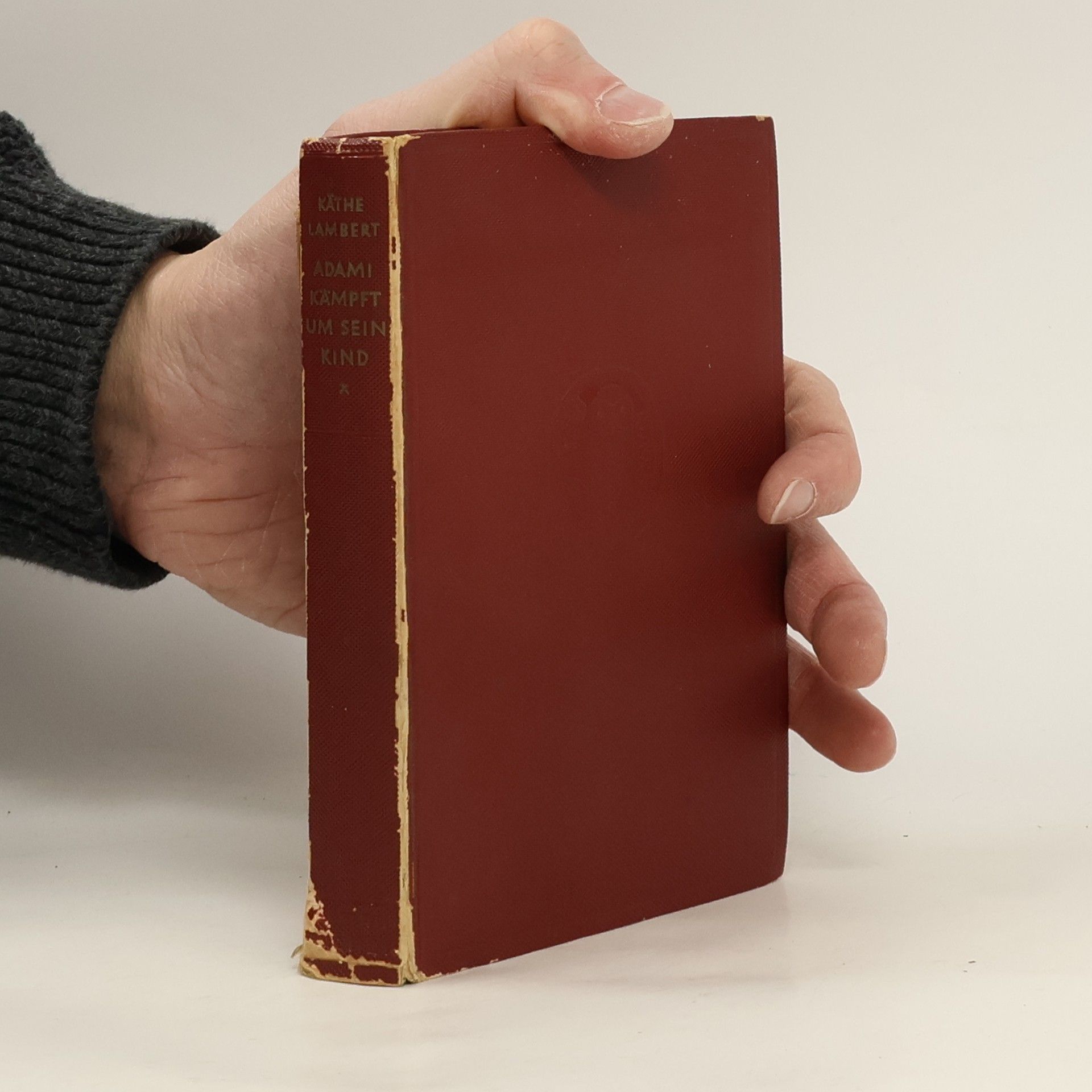 Adami kämpft um sein Kind