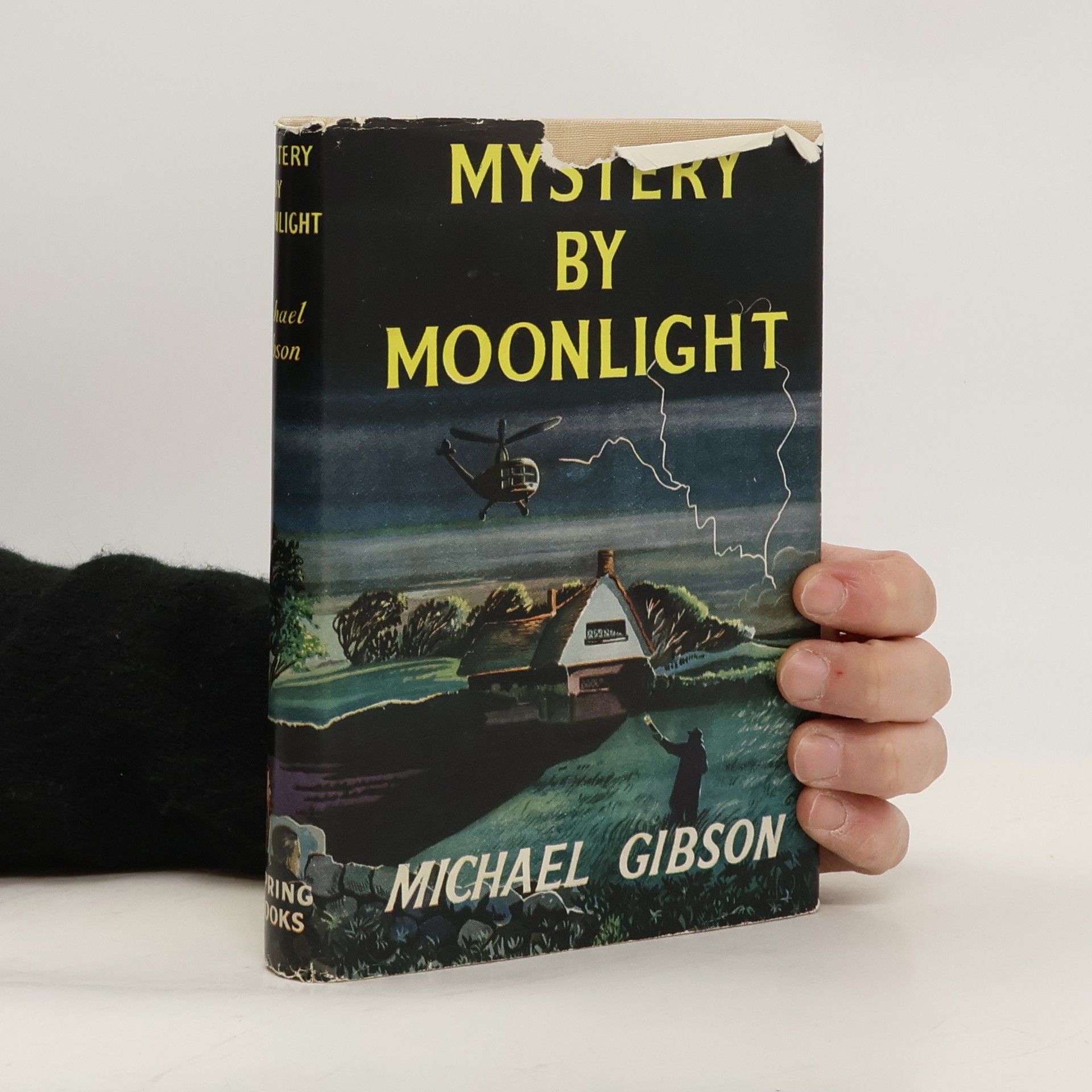 Michael Gibson Mystery by Moonlight