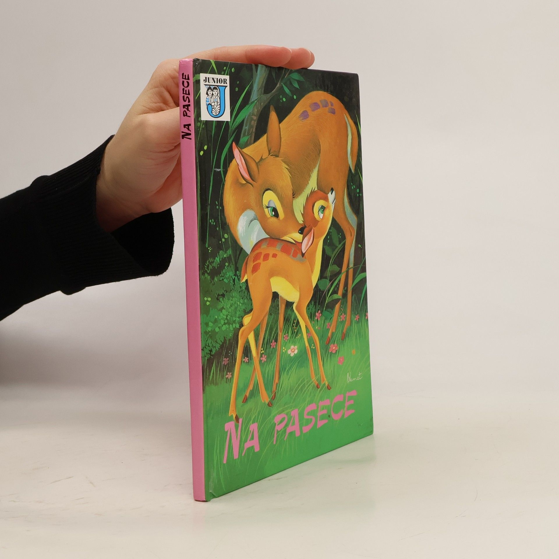 Autorenkollektiv Na pasece