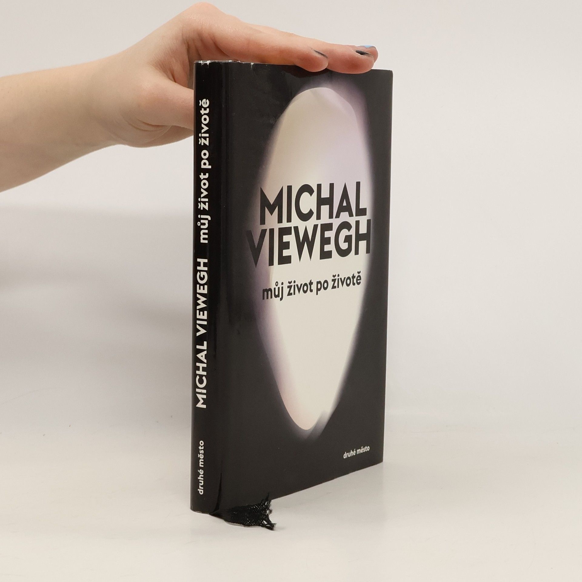 Michal Viewegh Můj život po životě