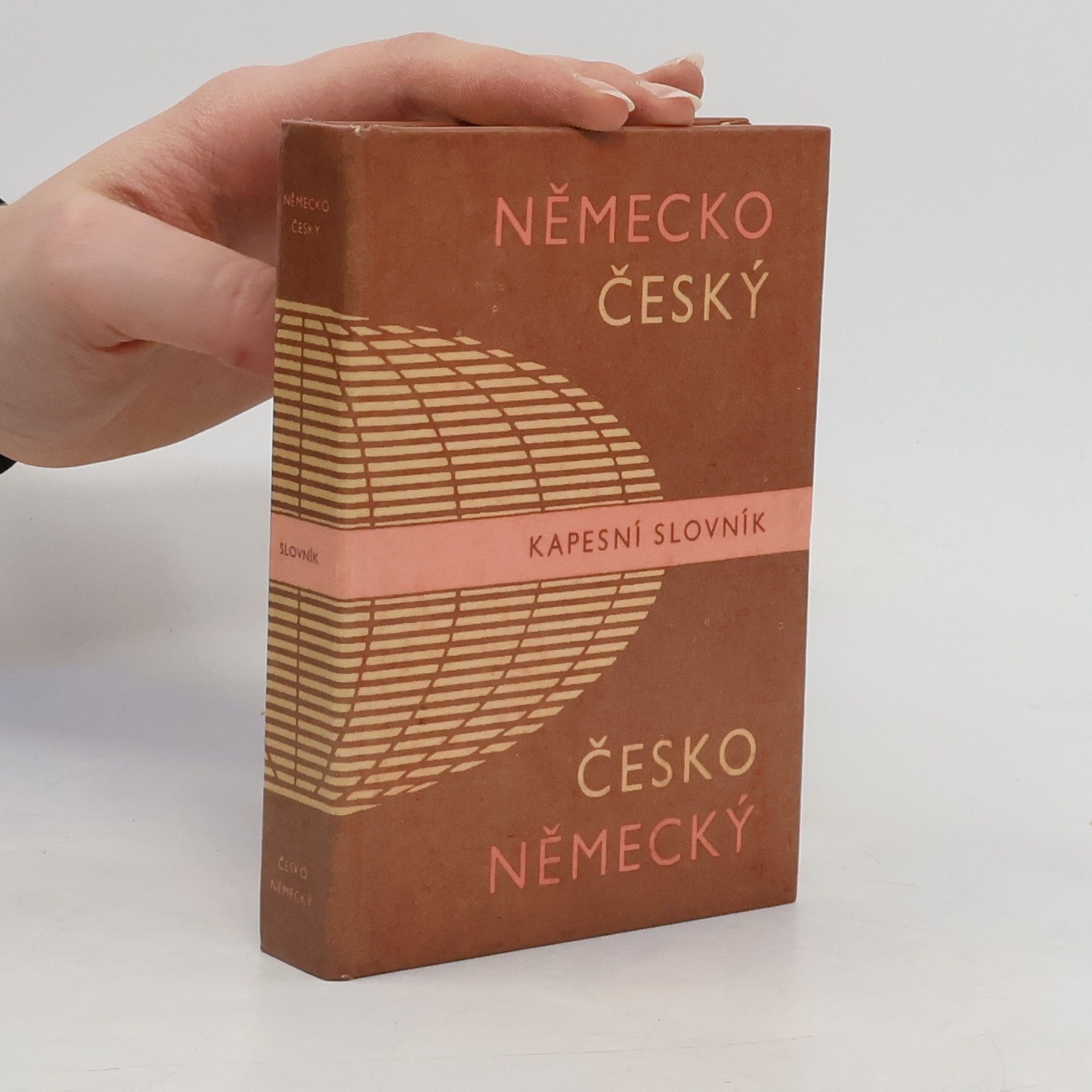 Autorenkollektiv Německo-český a česko-německý kapesní slovník