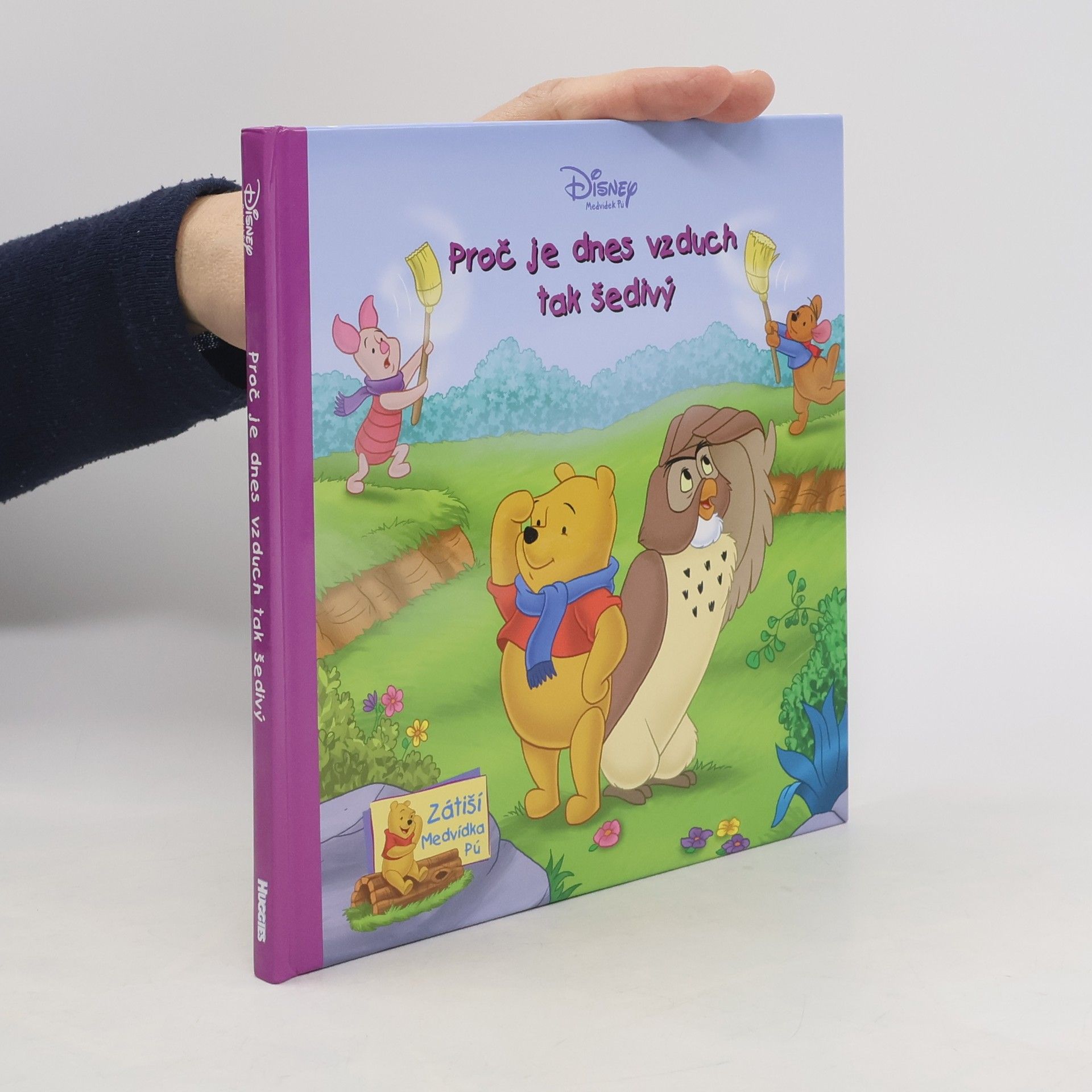 Autorenkollektiv Proč je dnes vzduch tak šedivý