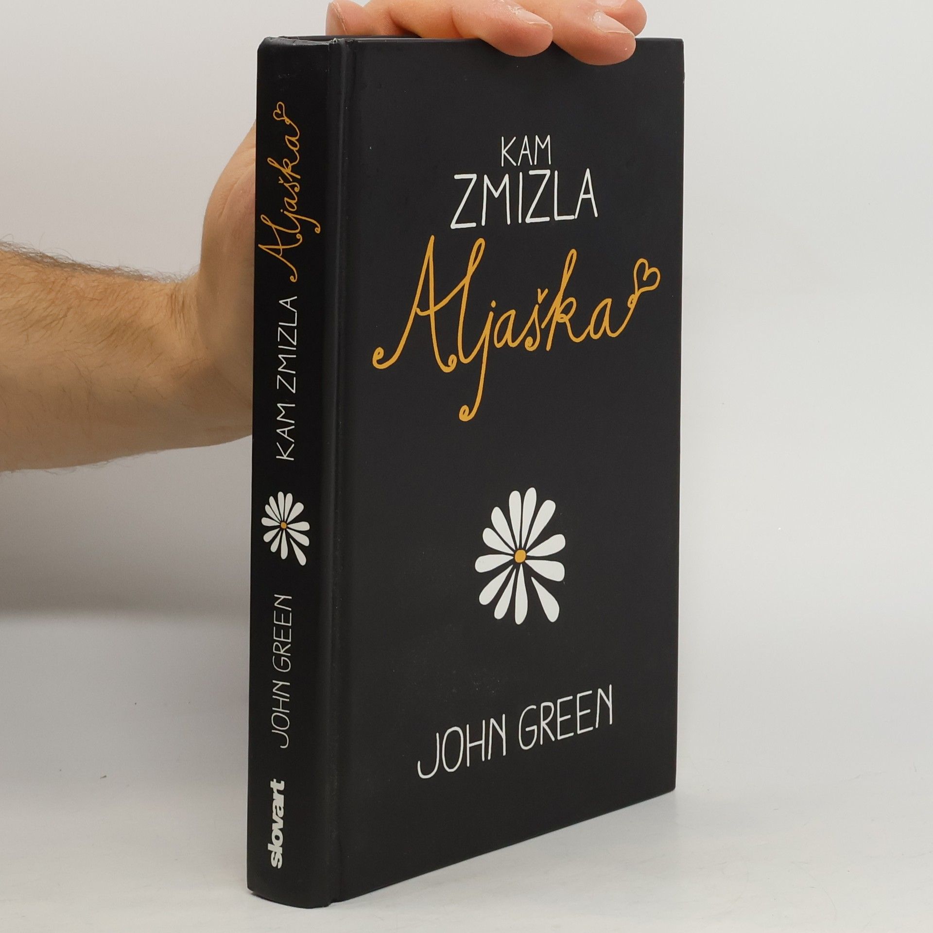 John Green Kam zmizla Aljaška