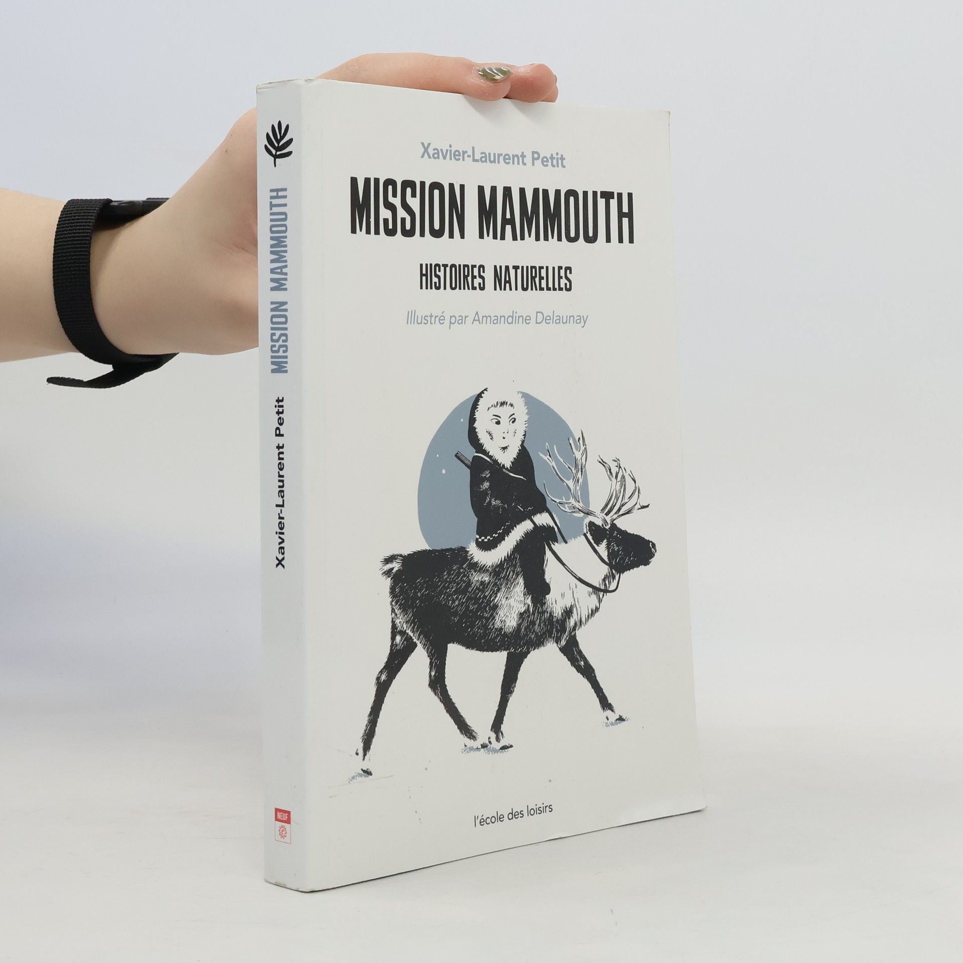 Mission mammouth