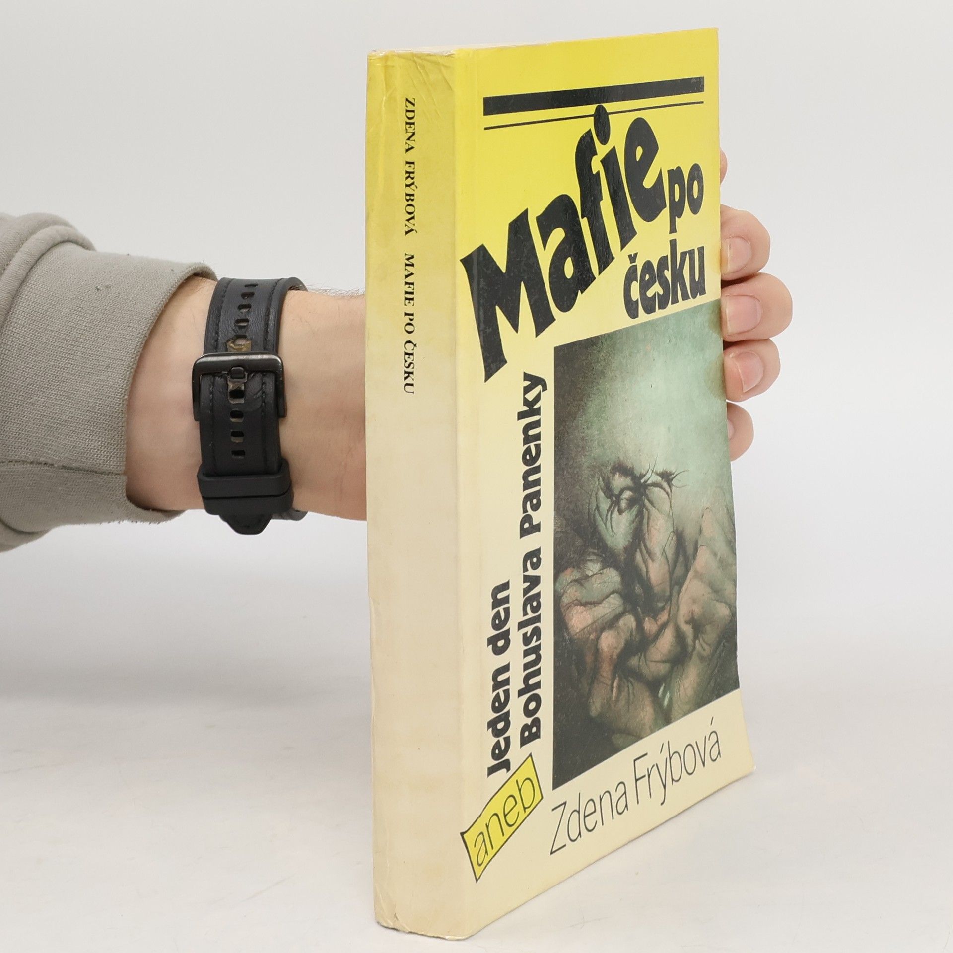 Zdena Frýbová Mafie po česku