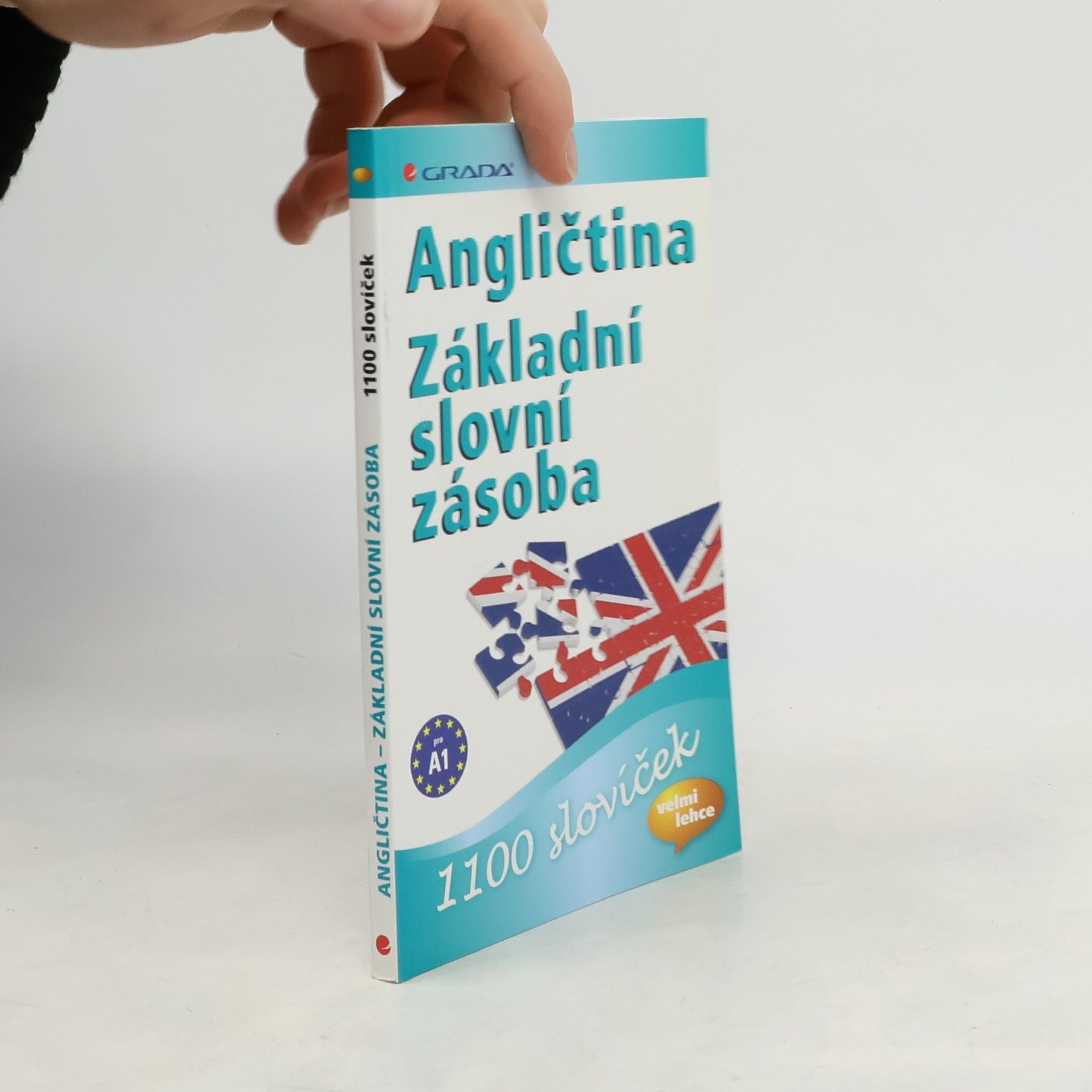 Auteurscollectief Angličtina. Základní slovní zásoba