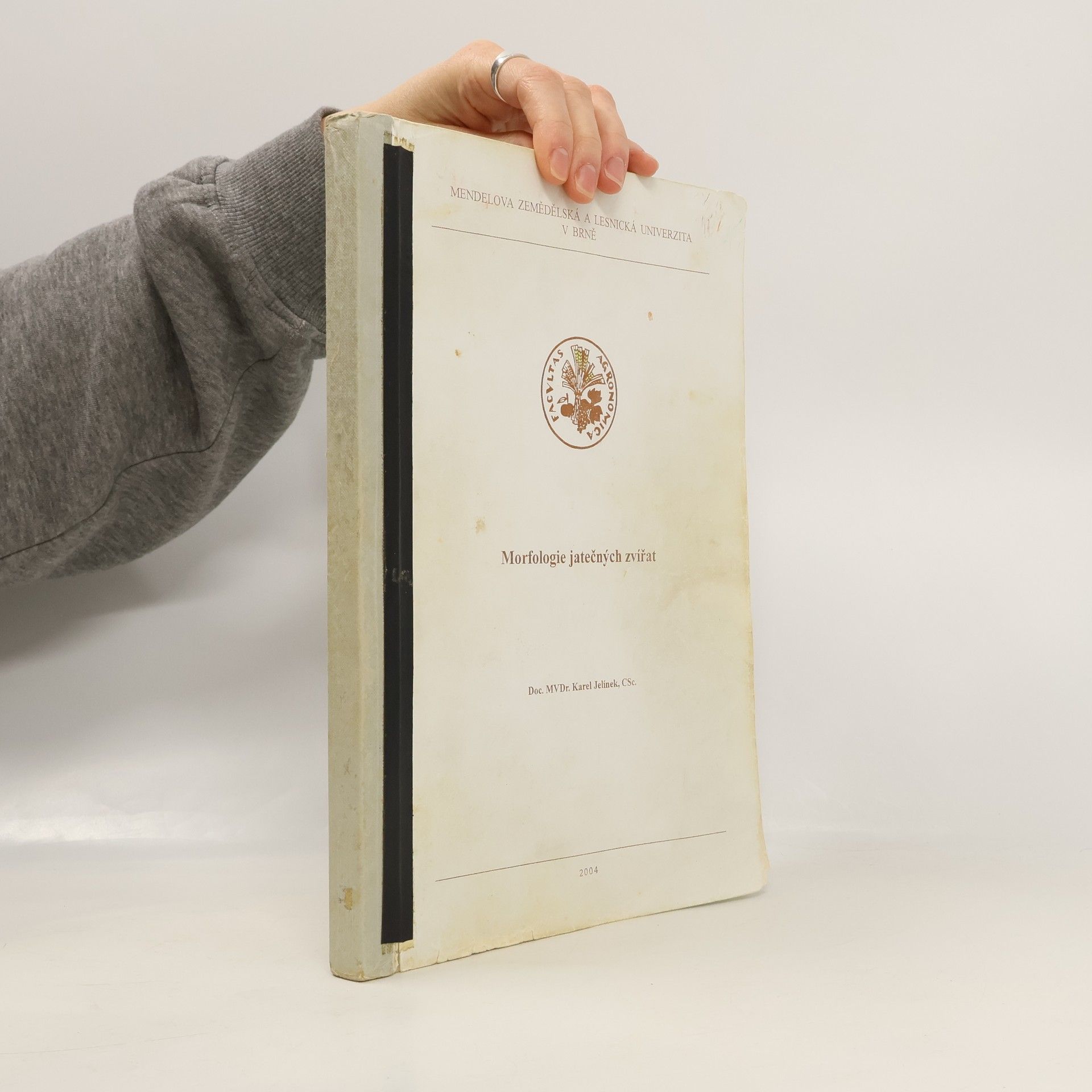 Morfologie jatečných zvířat