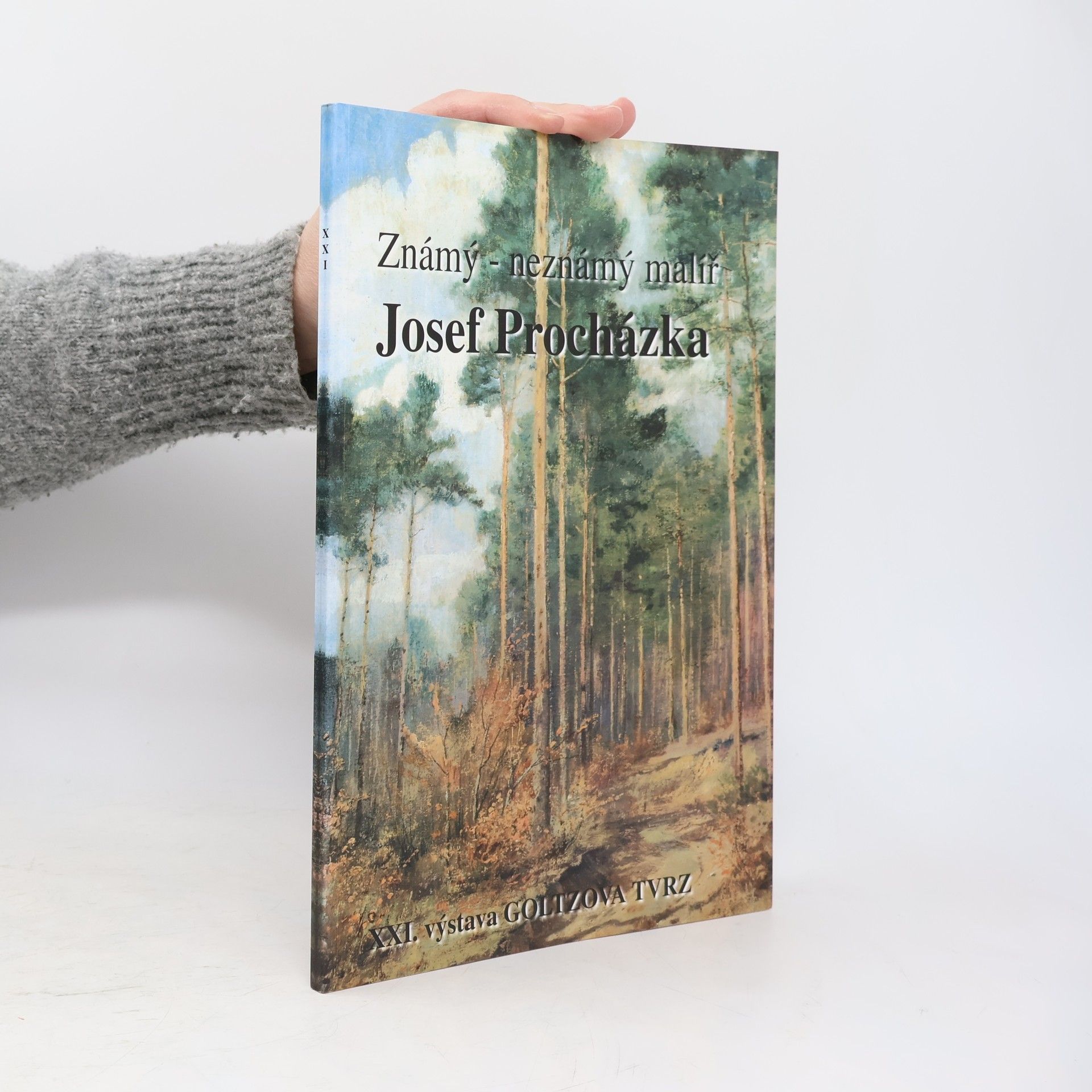 Známý - neznámý malíř