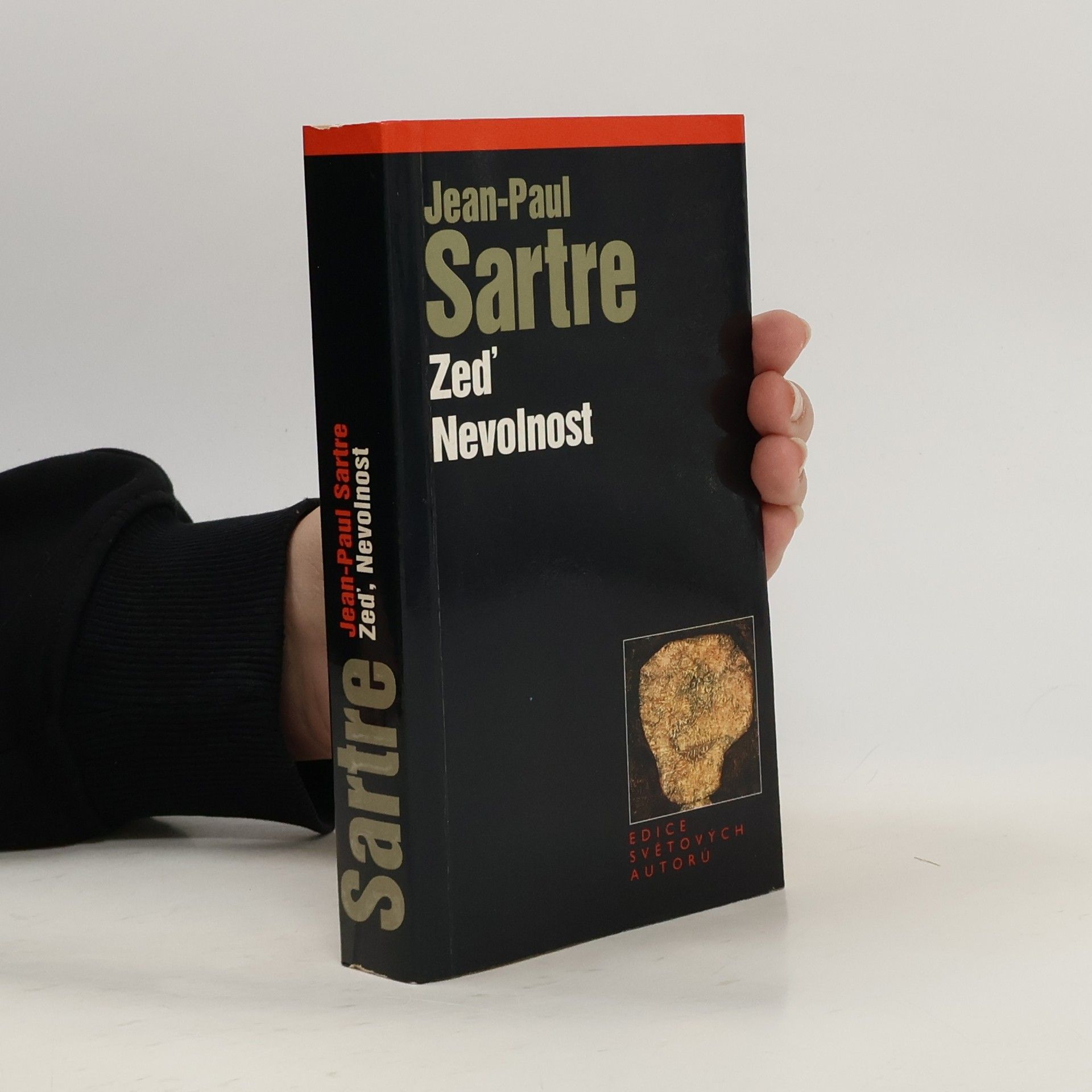 Dagmar Stein Zeď ; Nevolnost