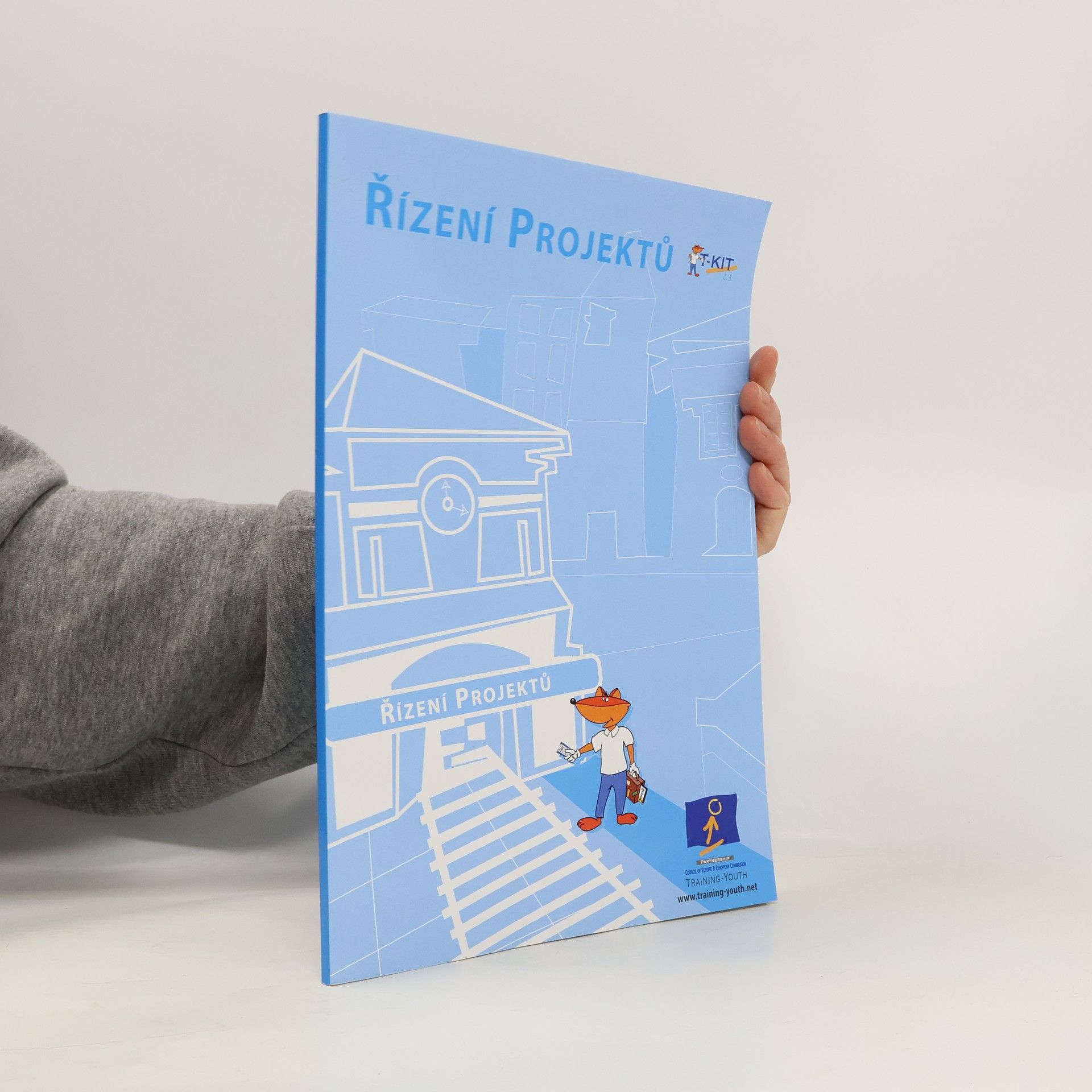 Collectif d'auteurs Řízení projektů