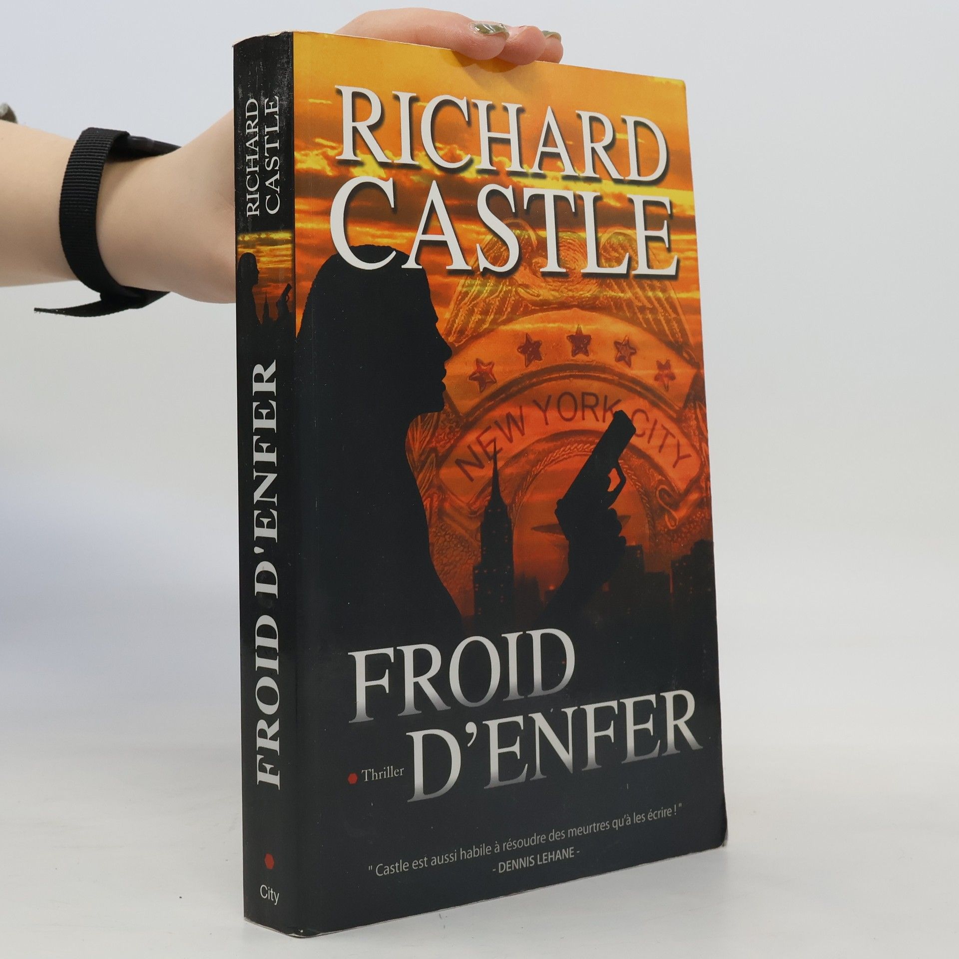 Françoise Fauchet Froid d'enfer