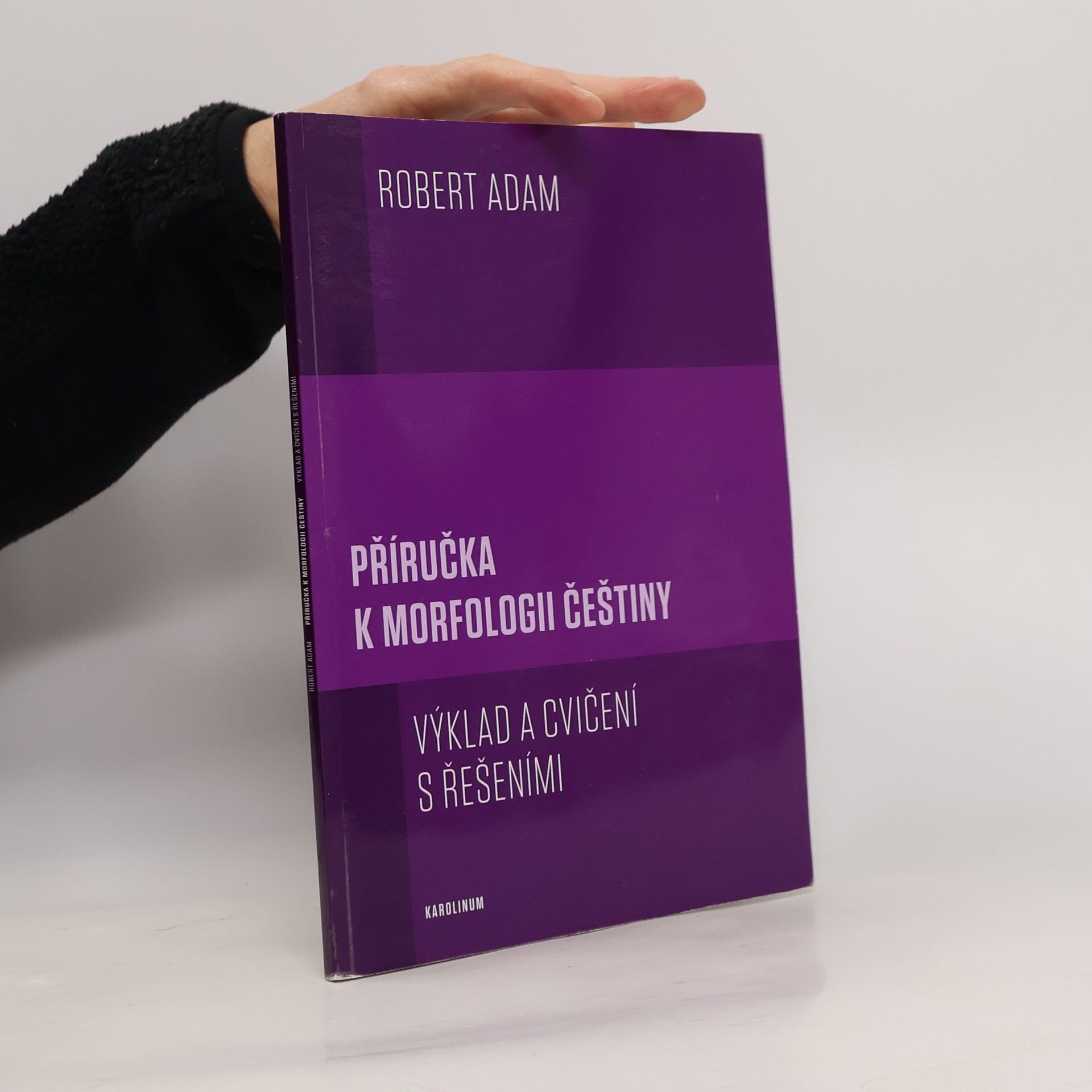 Příručka k morfologii češtiny: výklad a cvičení s řešeními