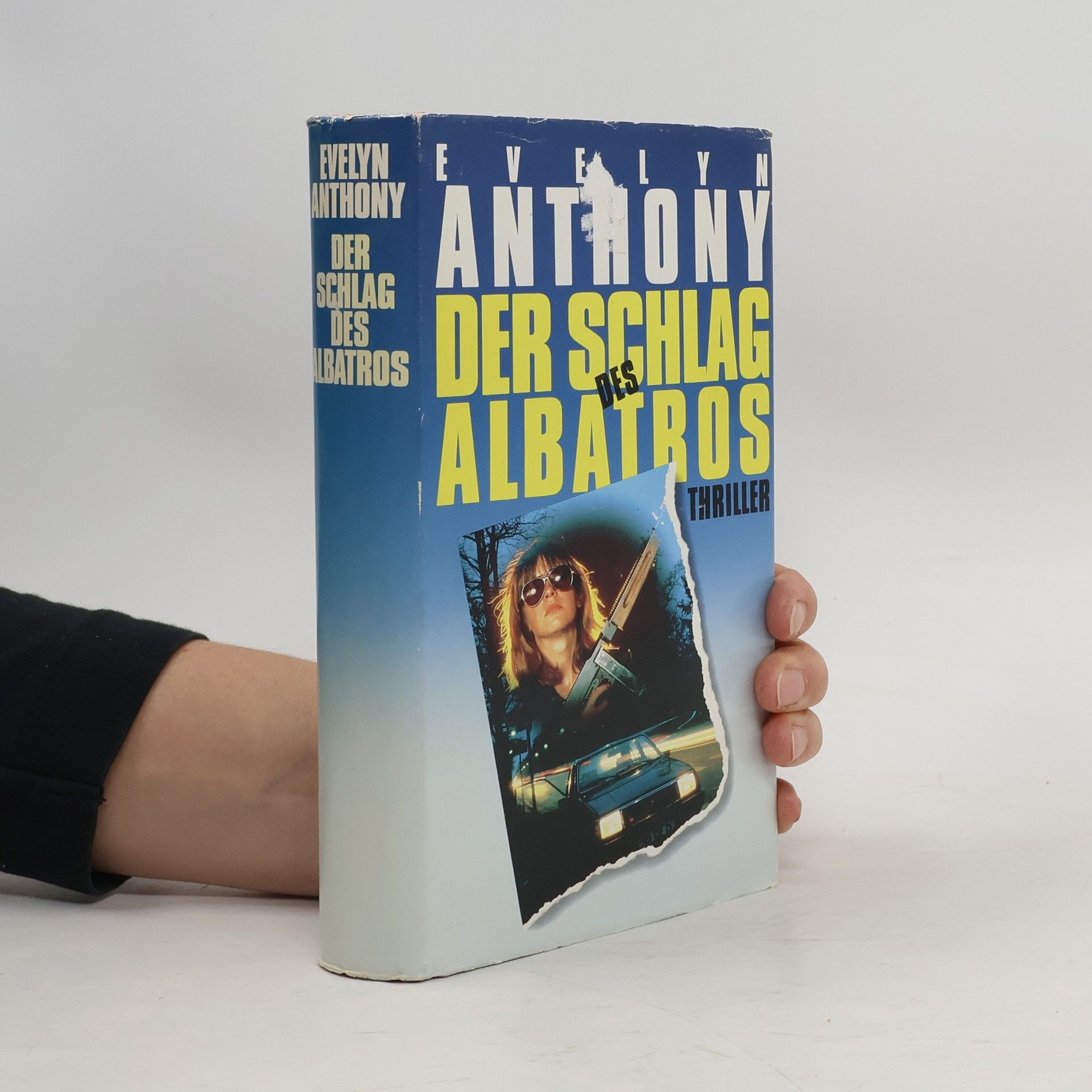 Evelyn Athony Der Schlag des Albatros