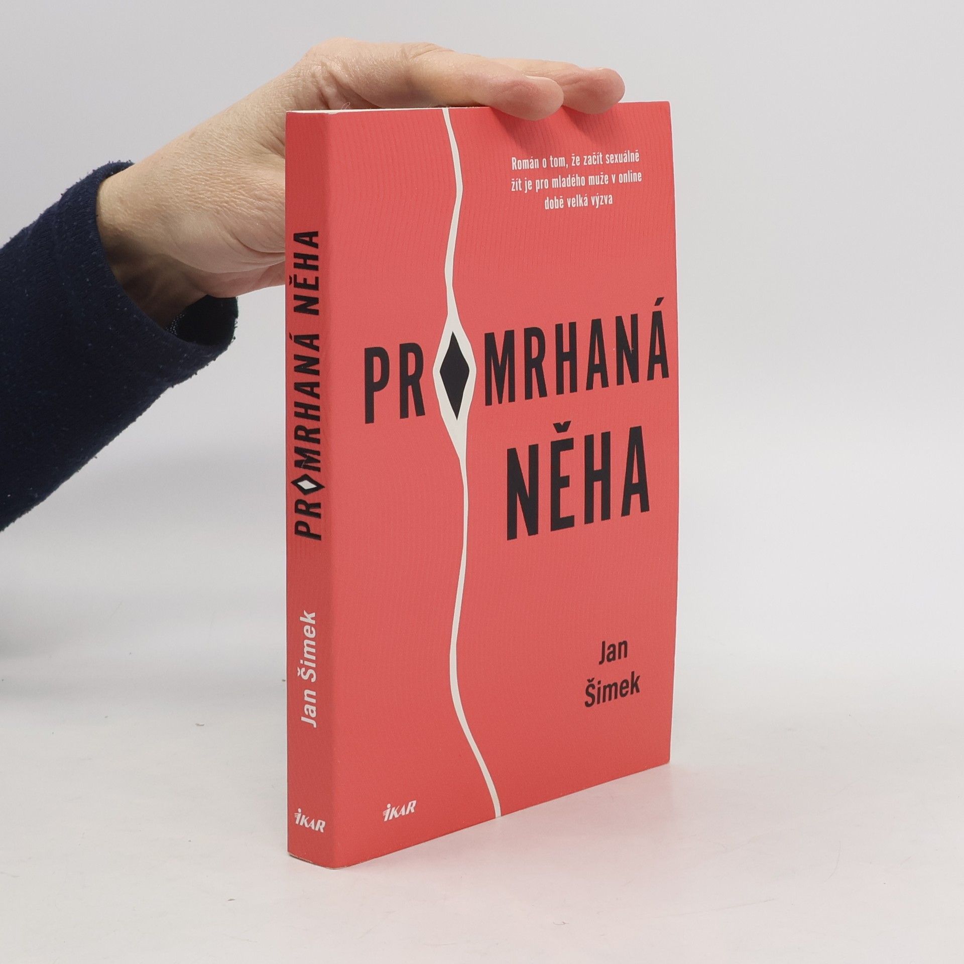 Jan Šimek Promrhaná něha