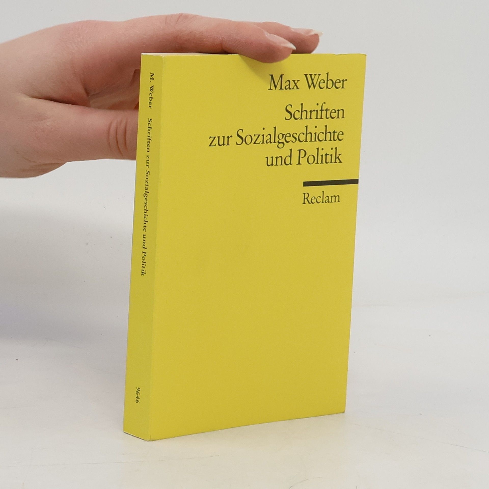 Max Weber Schriften zur Sozialgeschichte und Politik
