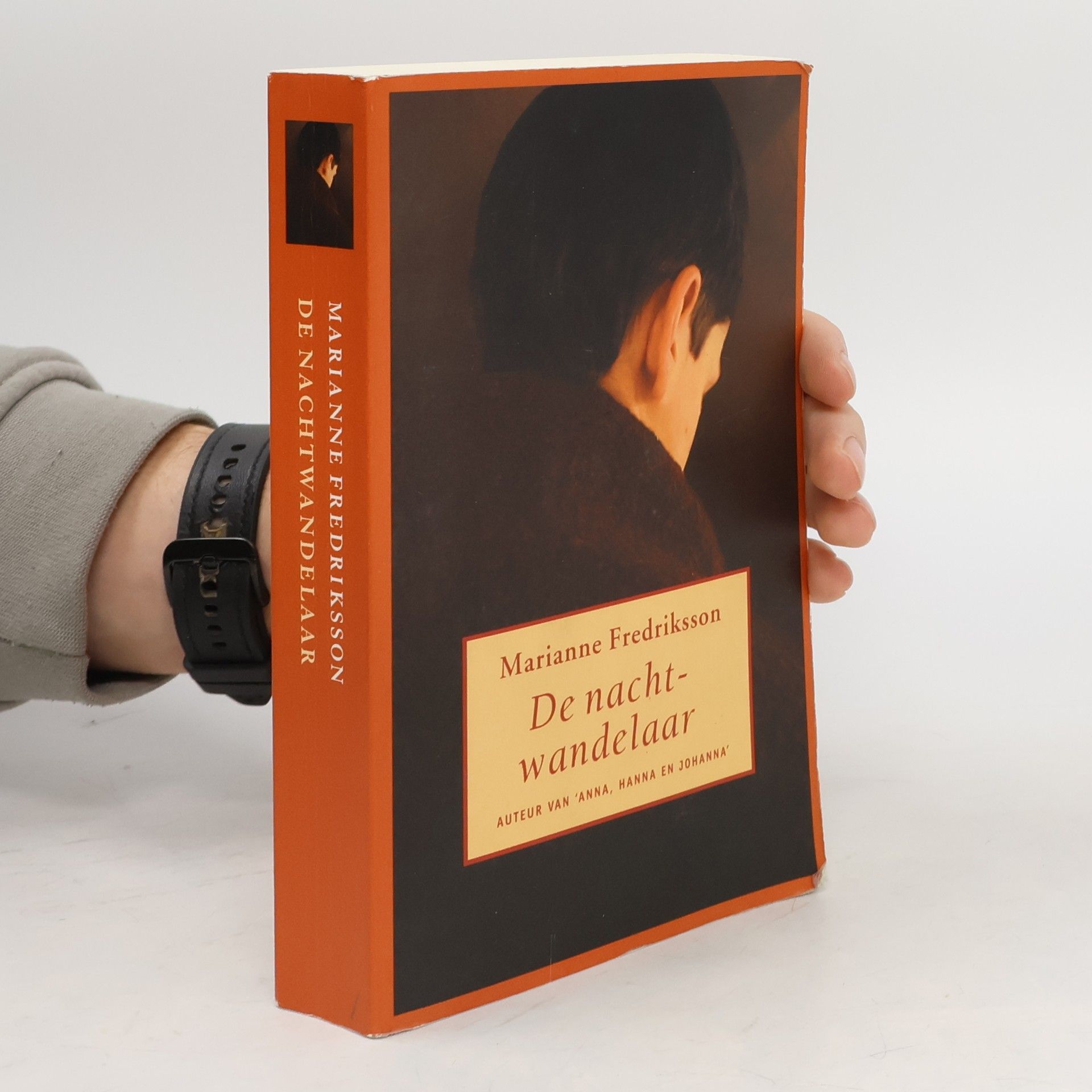 Marianne Frederiksson  De nachtwandelaar