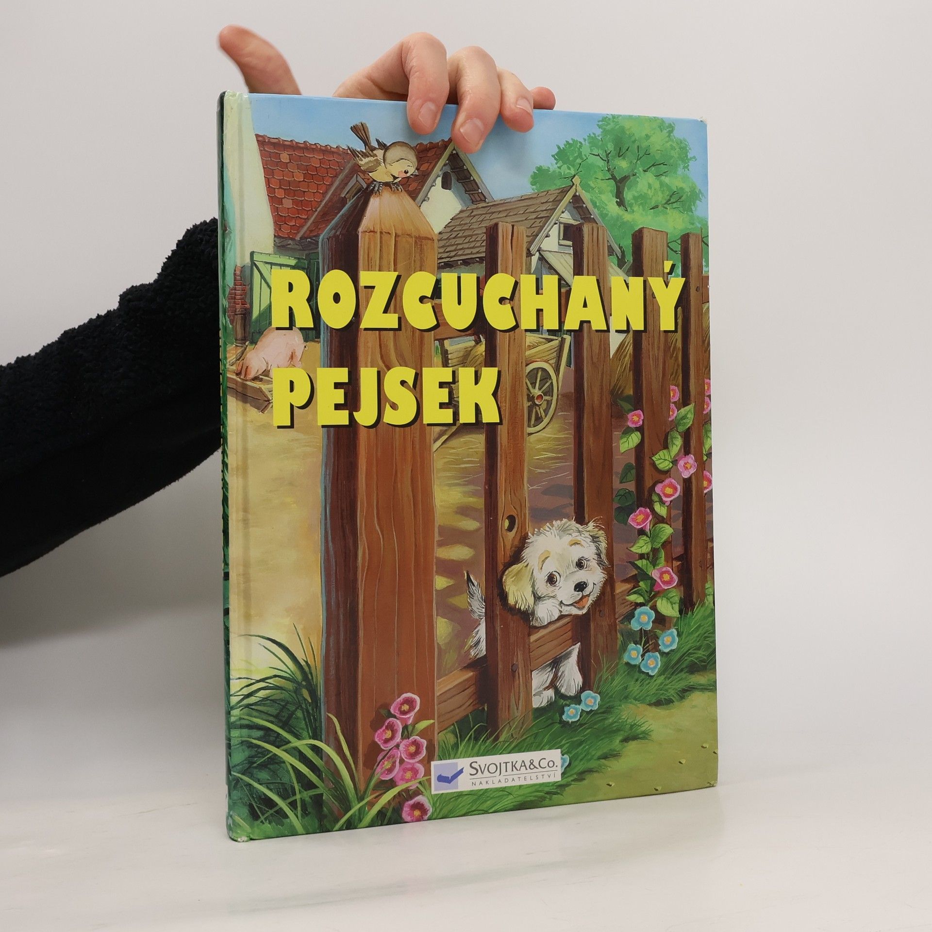 Csaba Feketű Neobyčejná dobrodružství pejska Chlupáčka