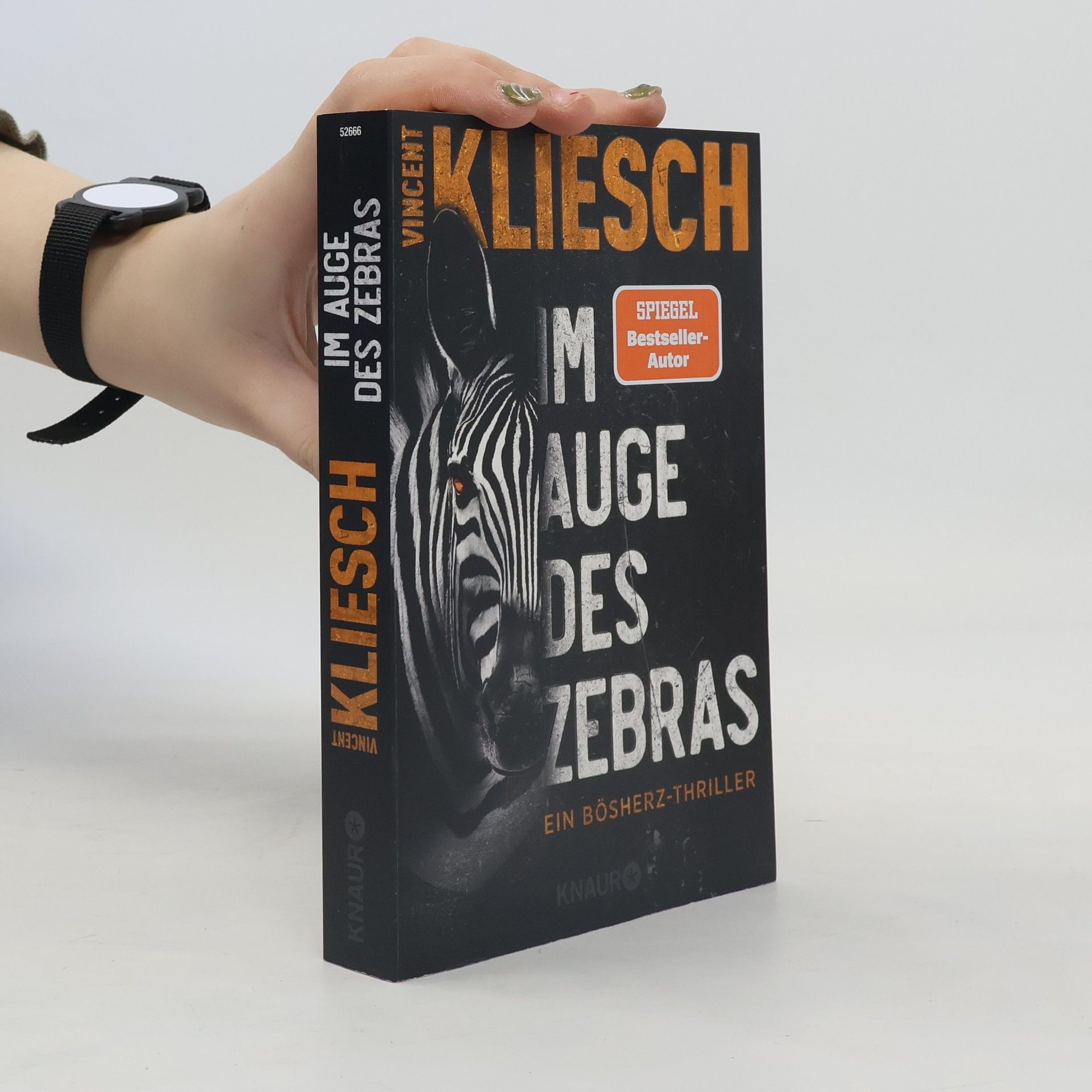 Vincent Kliesch Im Auge des Zebras