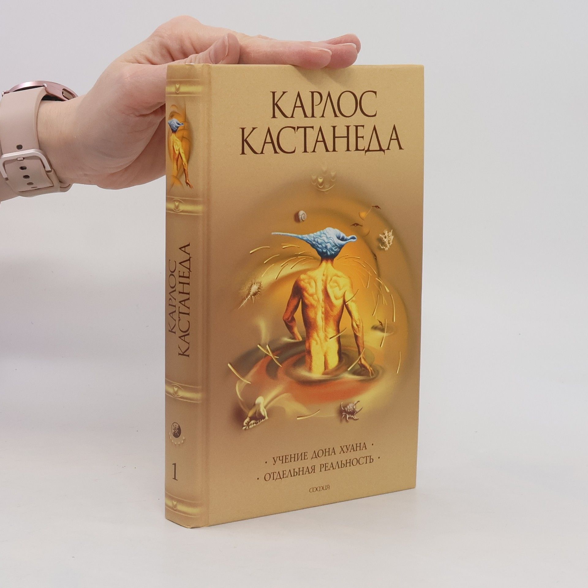 K Kastaneda Учение дона Хуана 1