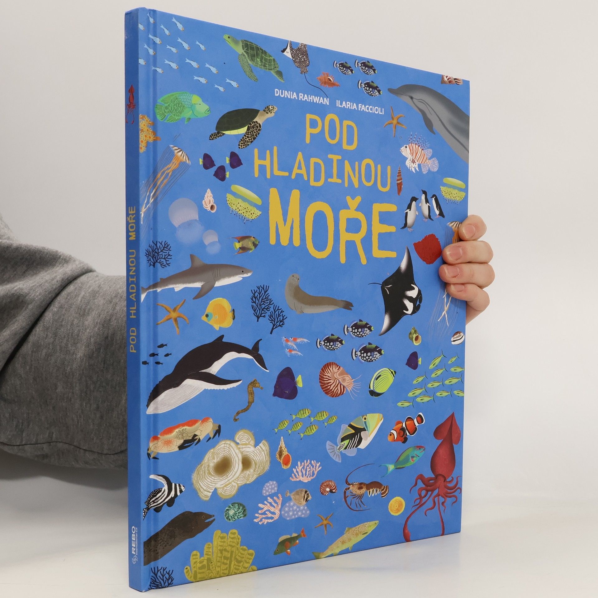 Dunia Rahwan Pod hladinou moře