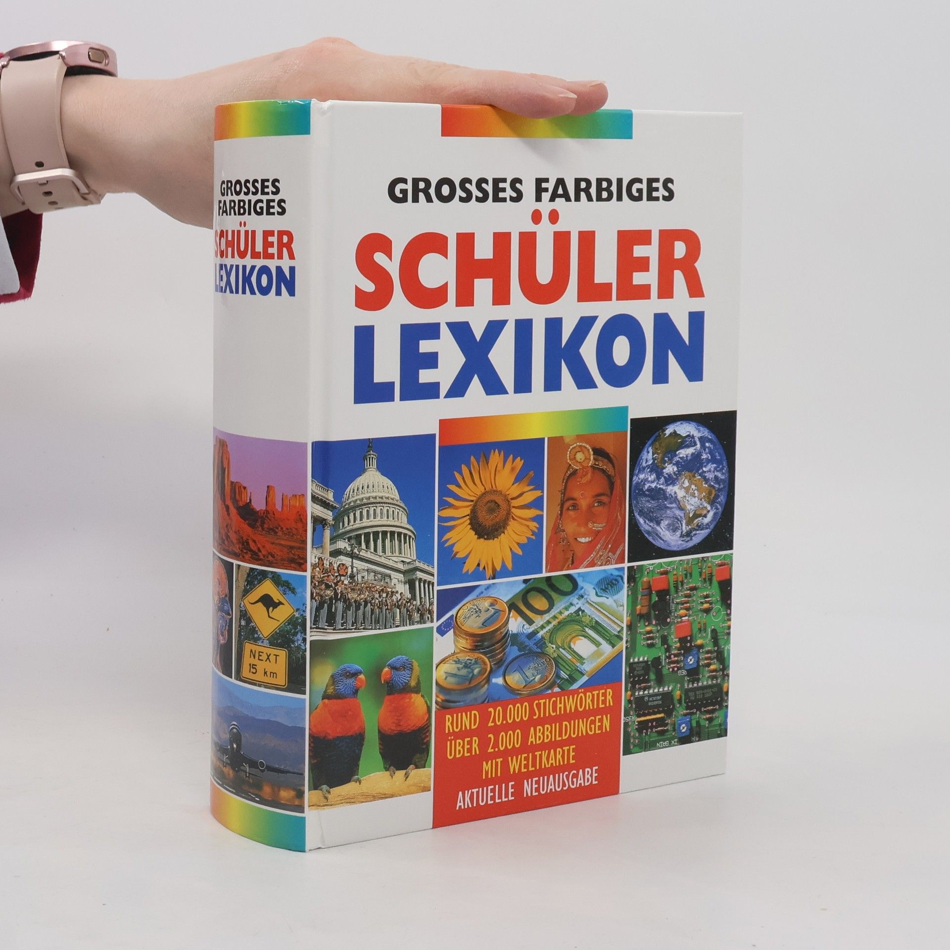Grosses farbiges Schülerlexikon