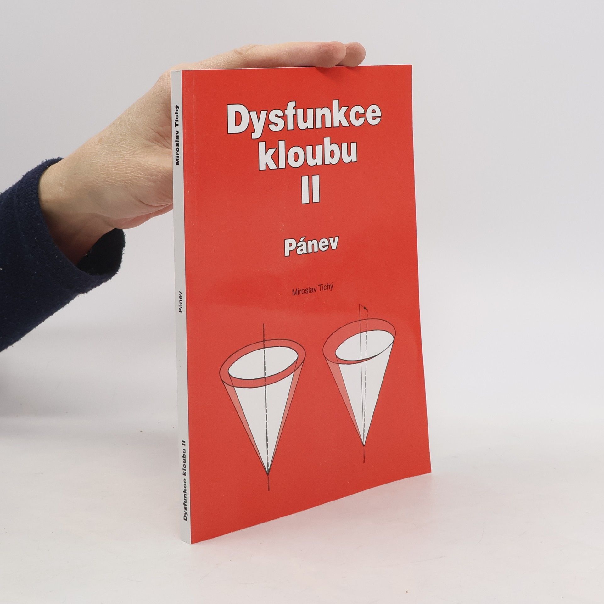 Miroslav Tichý Dysfunkce kloubu. II, Pánev