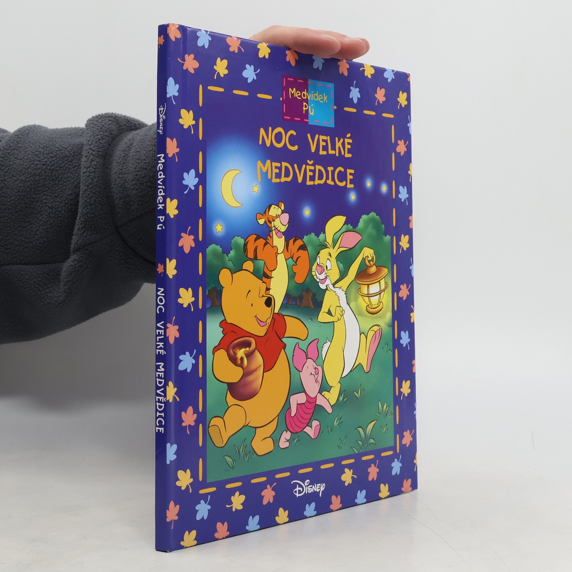 Noc velké medvědice