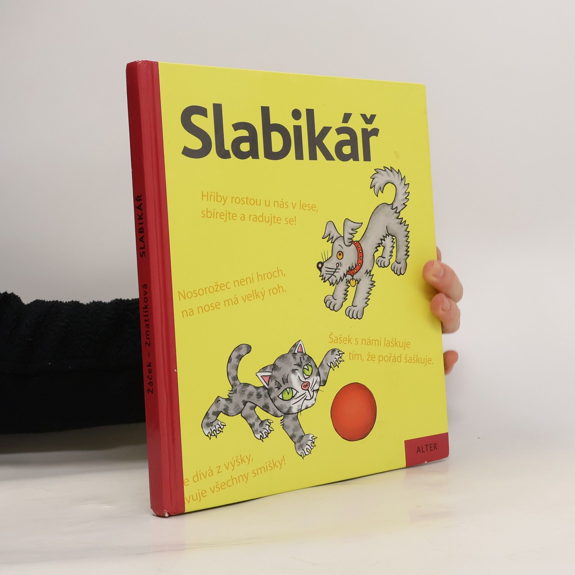 Jiří Žáček Slabikář : učebnice pro vzdělávací obor Český jazyk a literatura